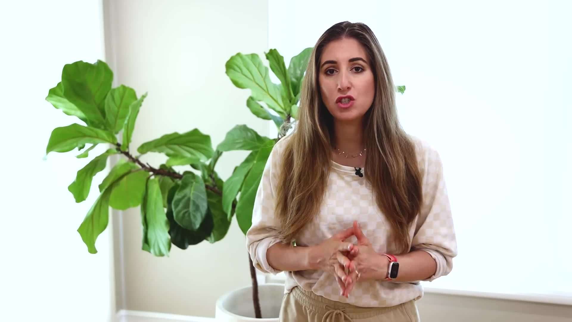 Image of scented candles and a diffuser