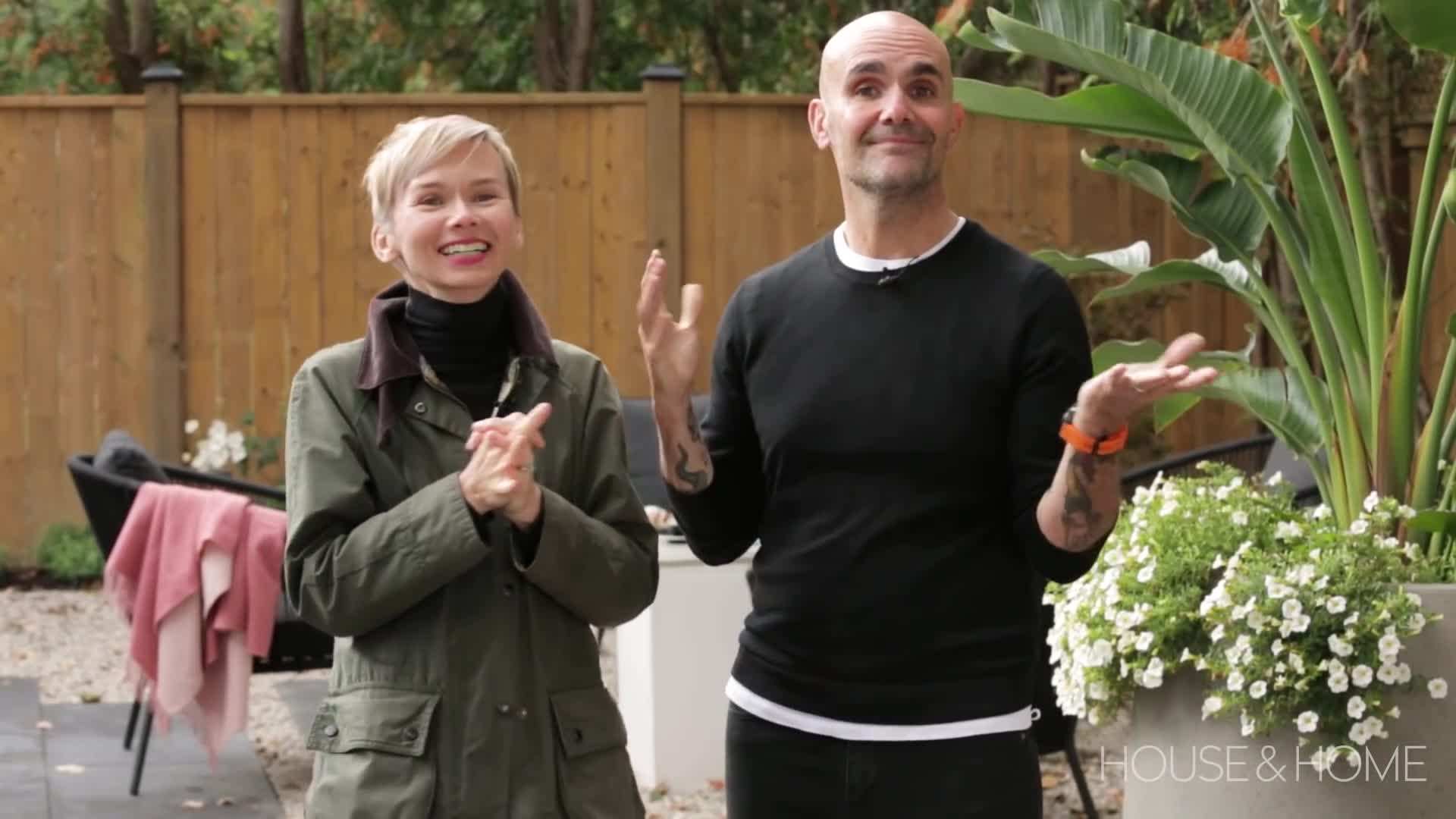 Low-maintenance plants for urban environments