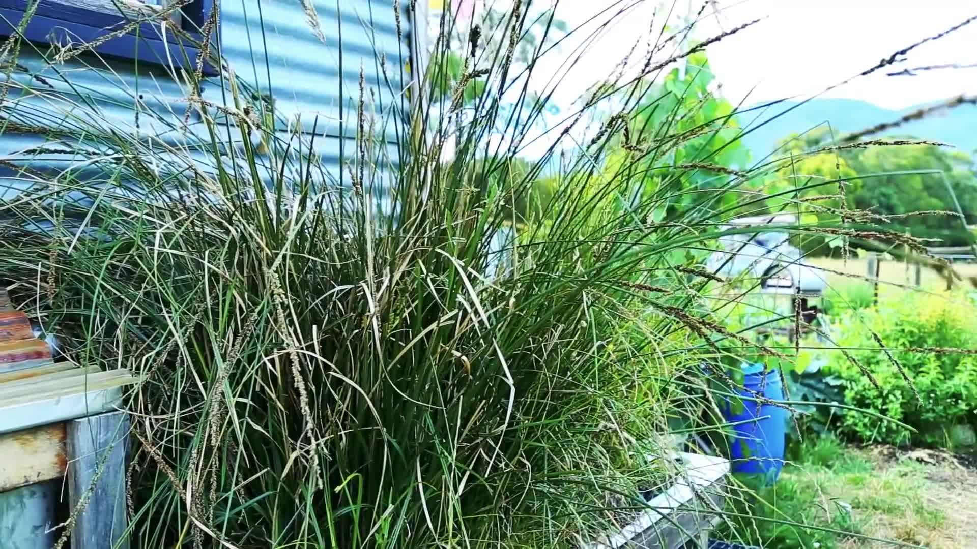 Grey-water treatment system in action