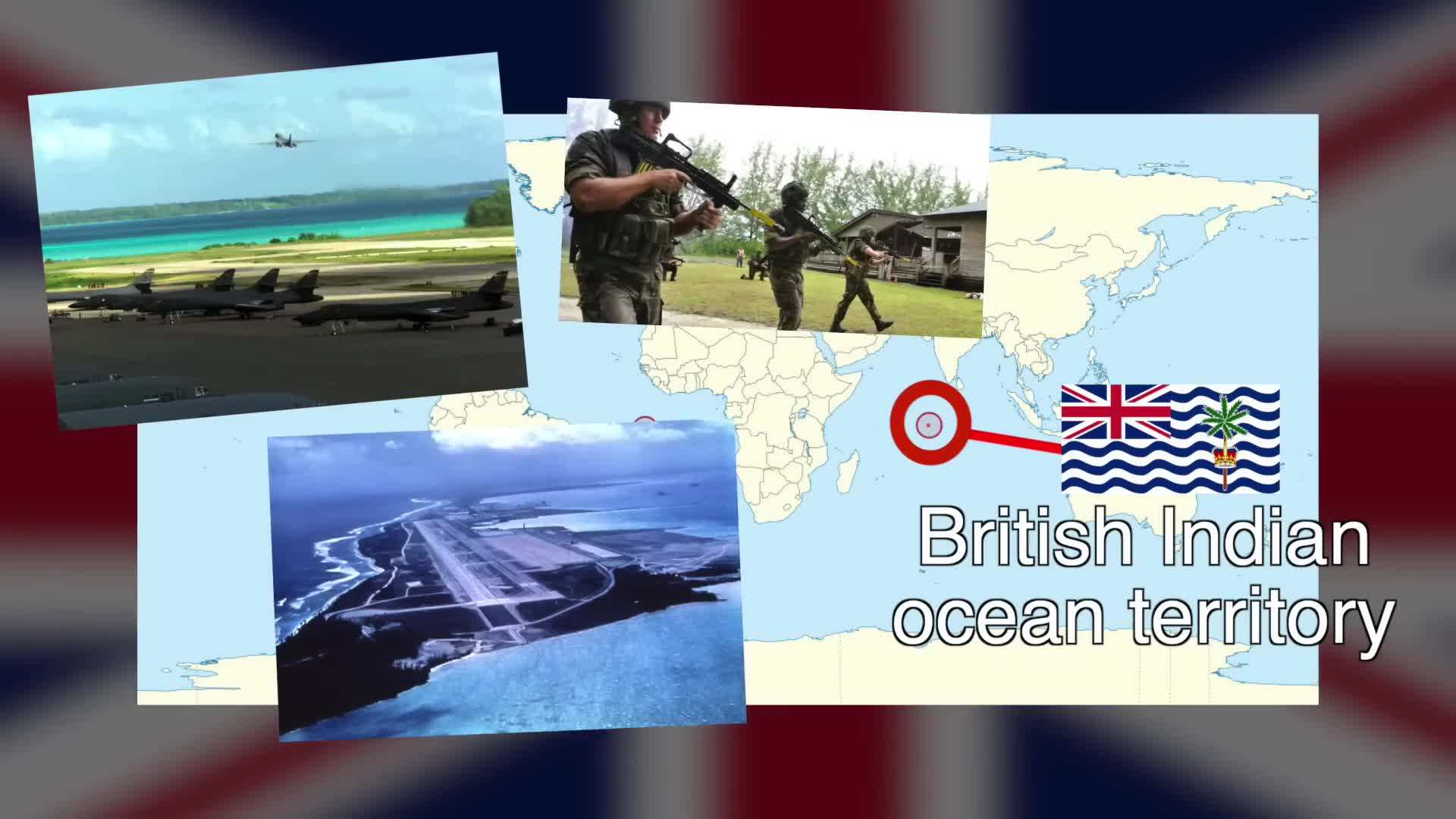 Adorable penguins in the Falkland Islands