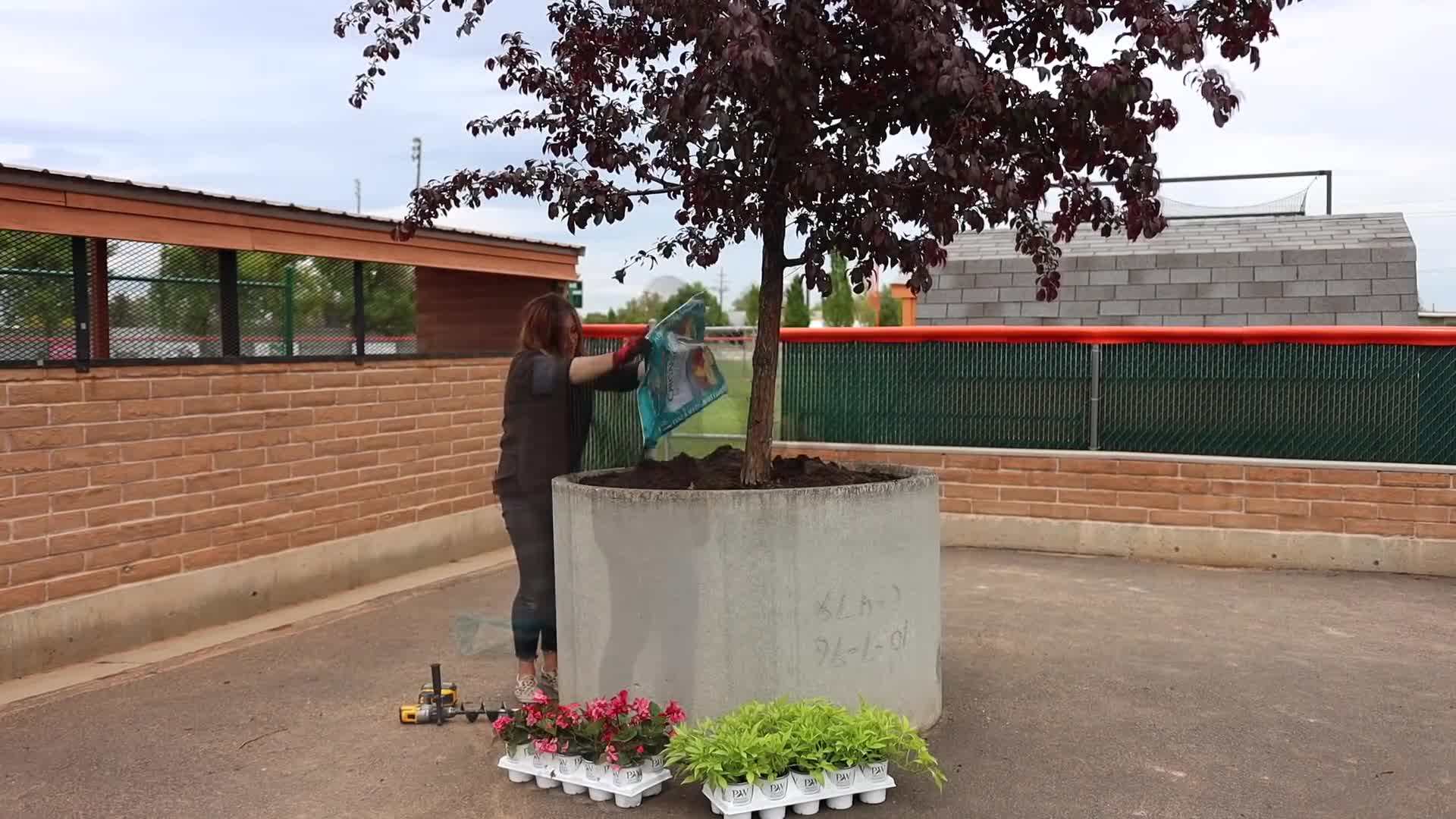 Watering Annuals in Landscape