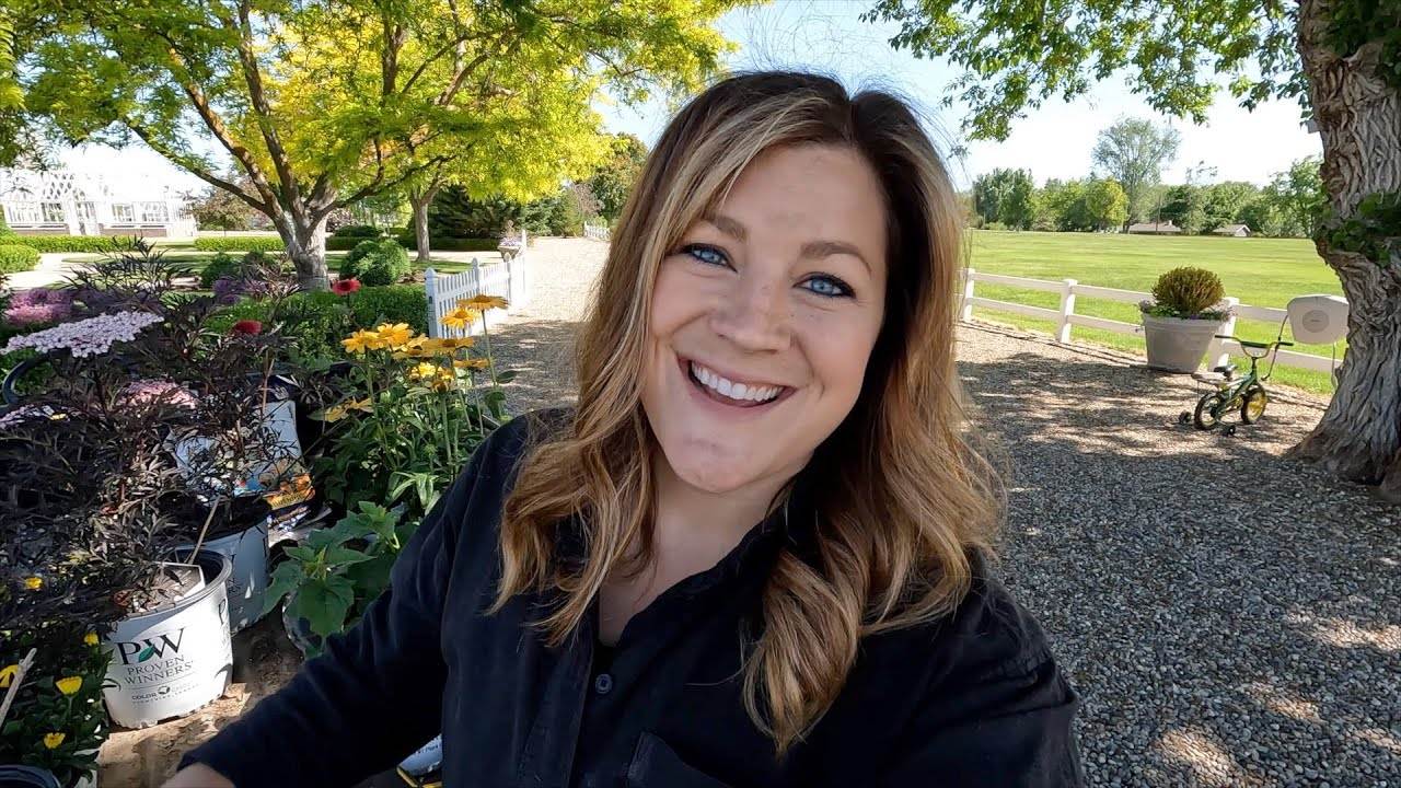 Planting Beautiful Echinacea, Elderberry, and Hibiscus: A Gardening Guide