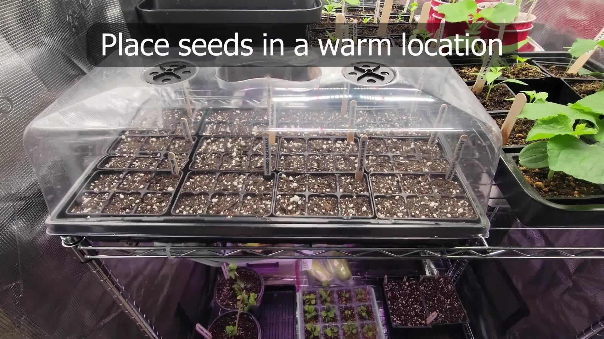 Pre-made seed starting mix