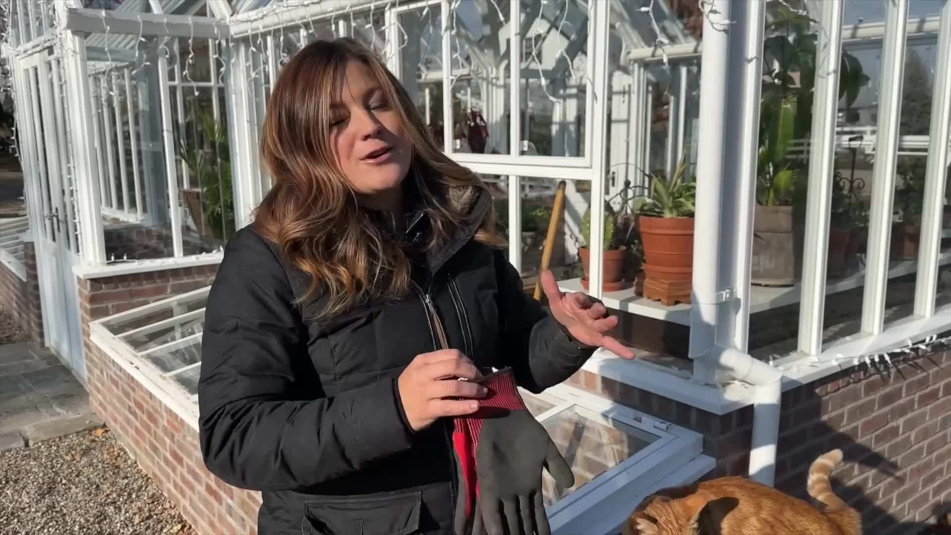 A variety of pots in different sizes and styles