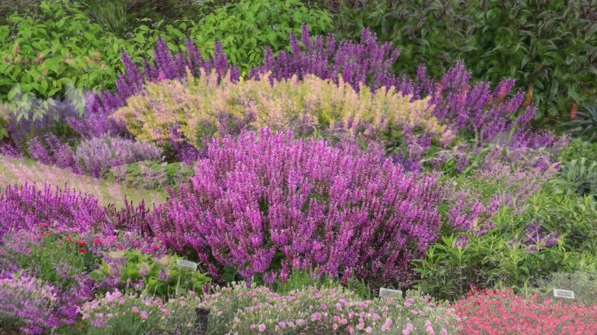 Preparing the Soil for Planting