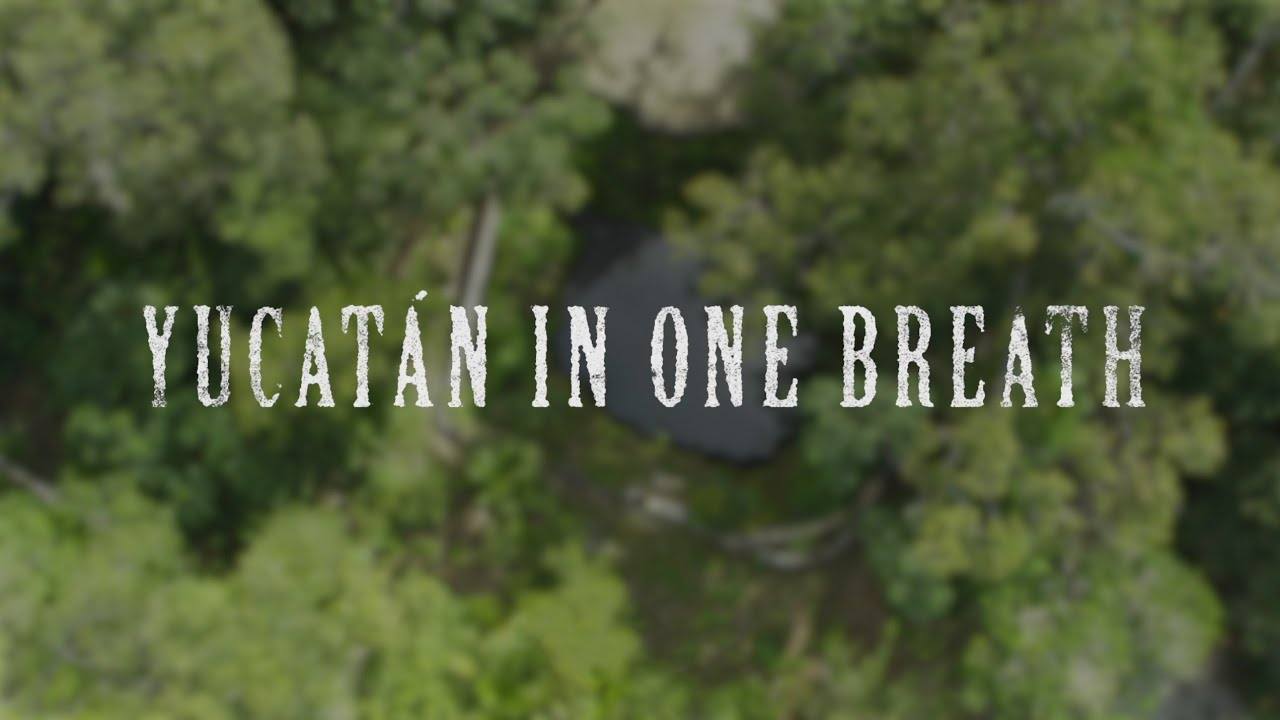 A Wild Swimmer’s Guide to the Hypnotic Appeal of Yucatán, Mexico