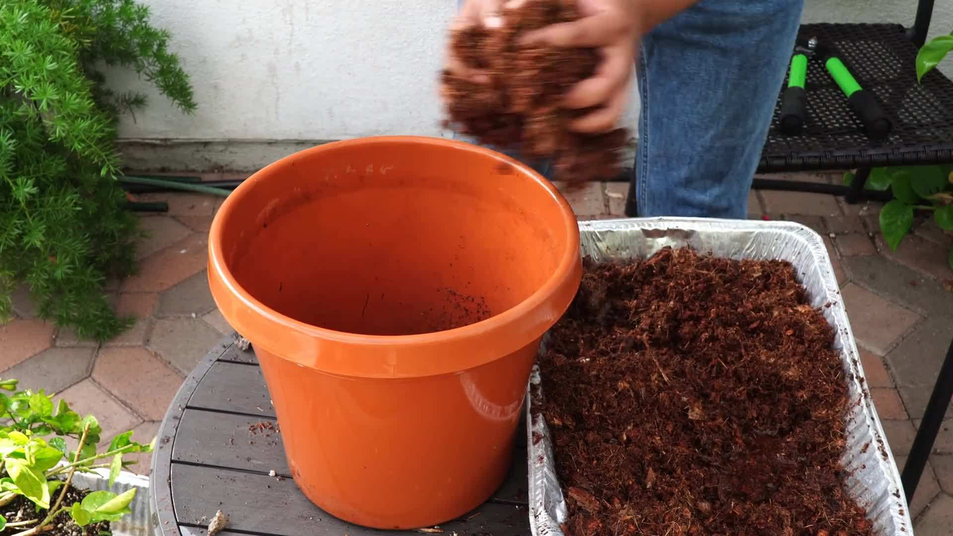 Adding Organic Matter for Nutrient-rich Soil