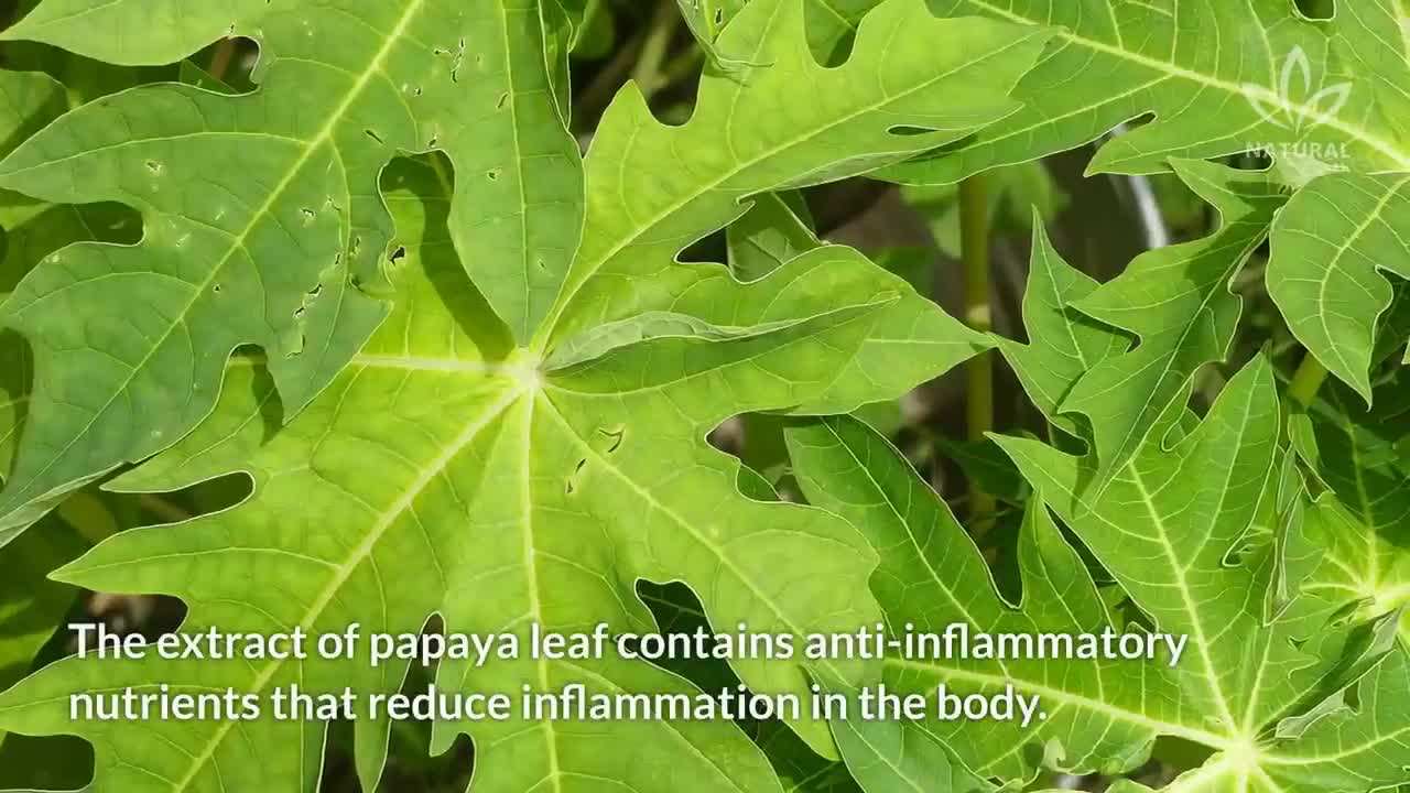 Image of a sliced papaya with a caption: 'Papaya: A Natural Digestive Aid'