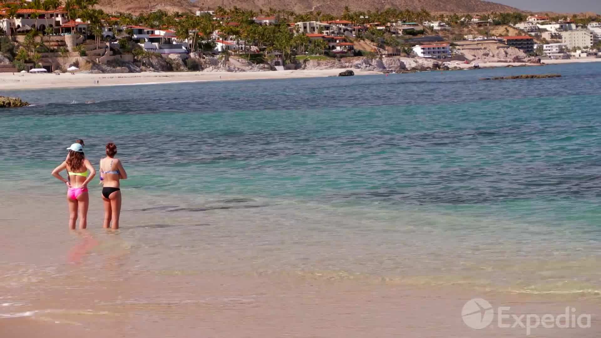 Historic Center - A Colorful Oasis