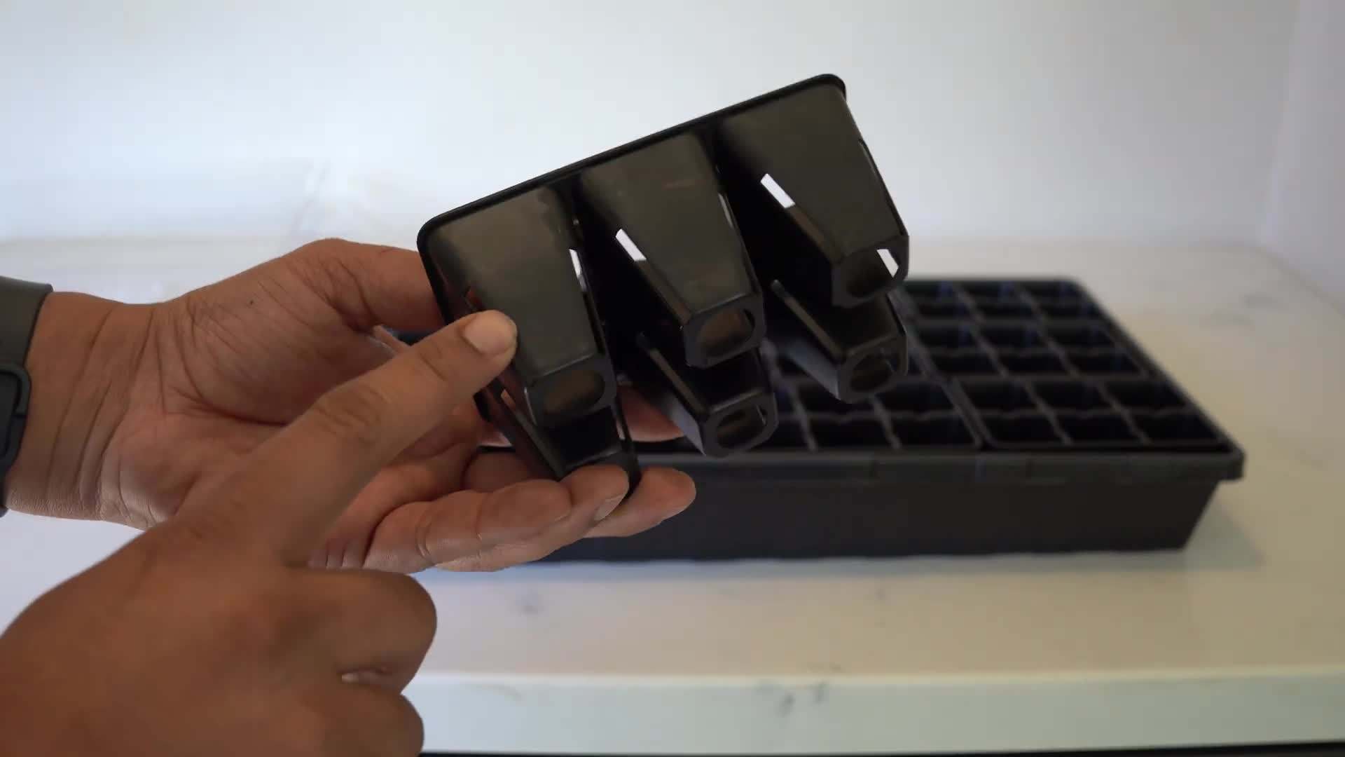 Different varieties of vegetable seeds