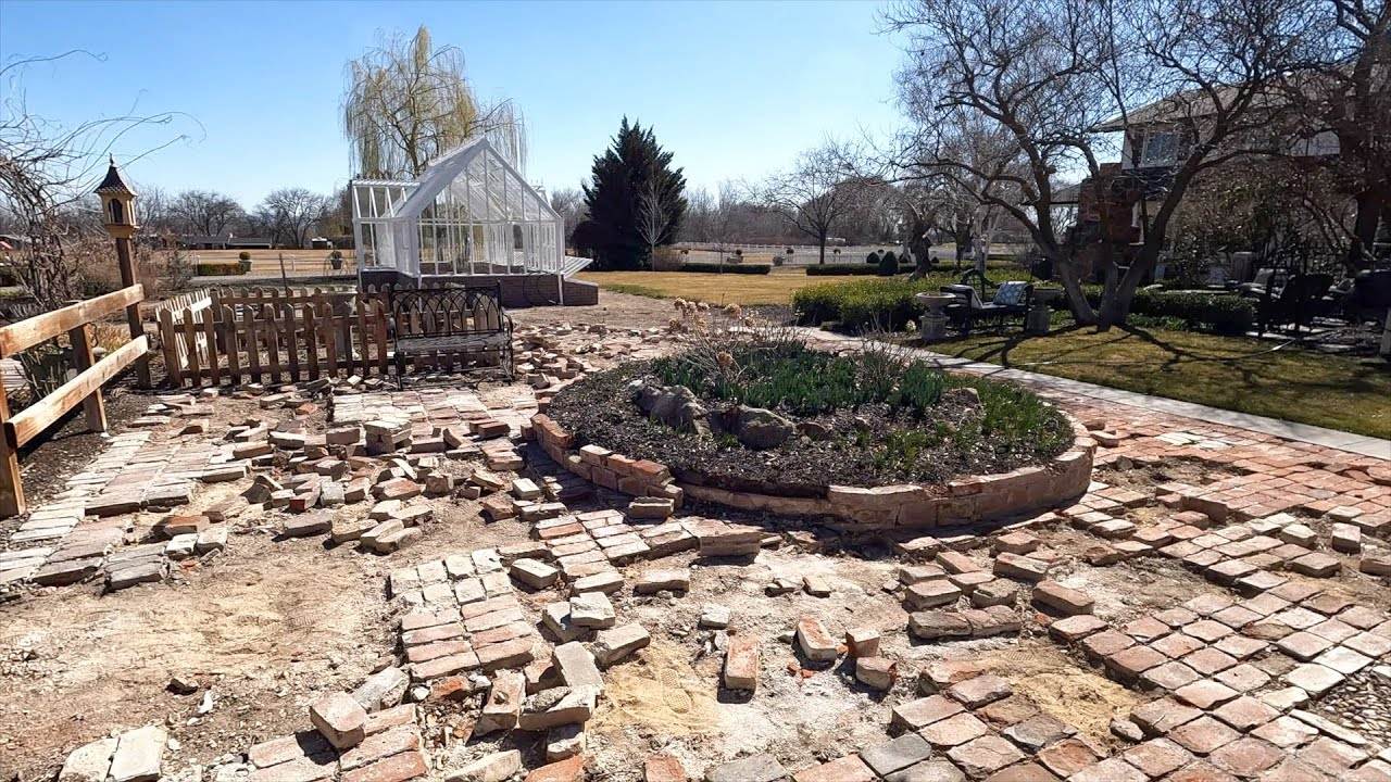 Digging & Potting Up a TON of Daffodils! ππΌπ