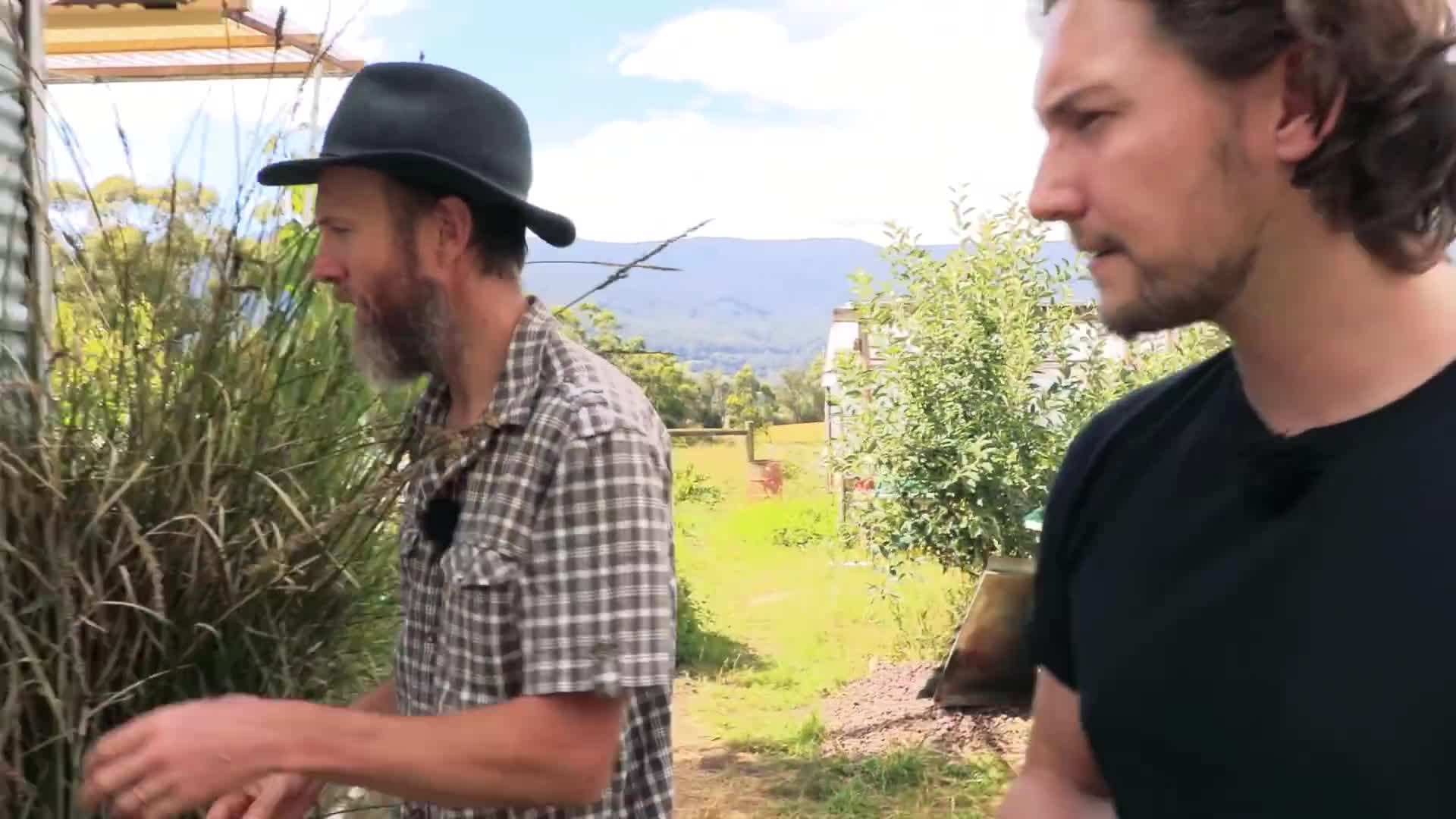 Permaculture principles guide the design of the grey-water treatment system