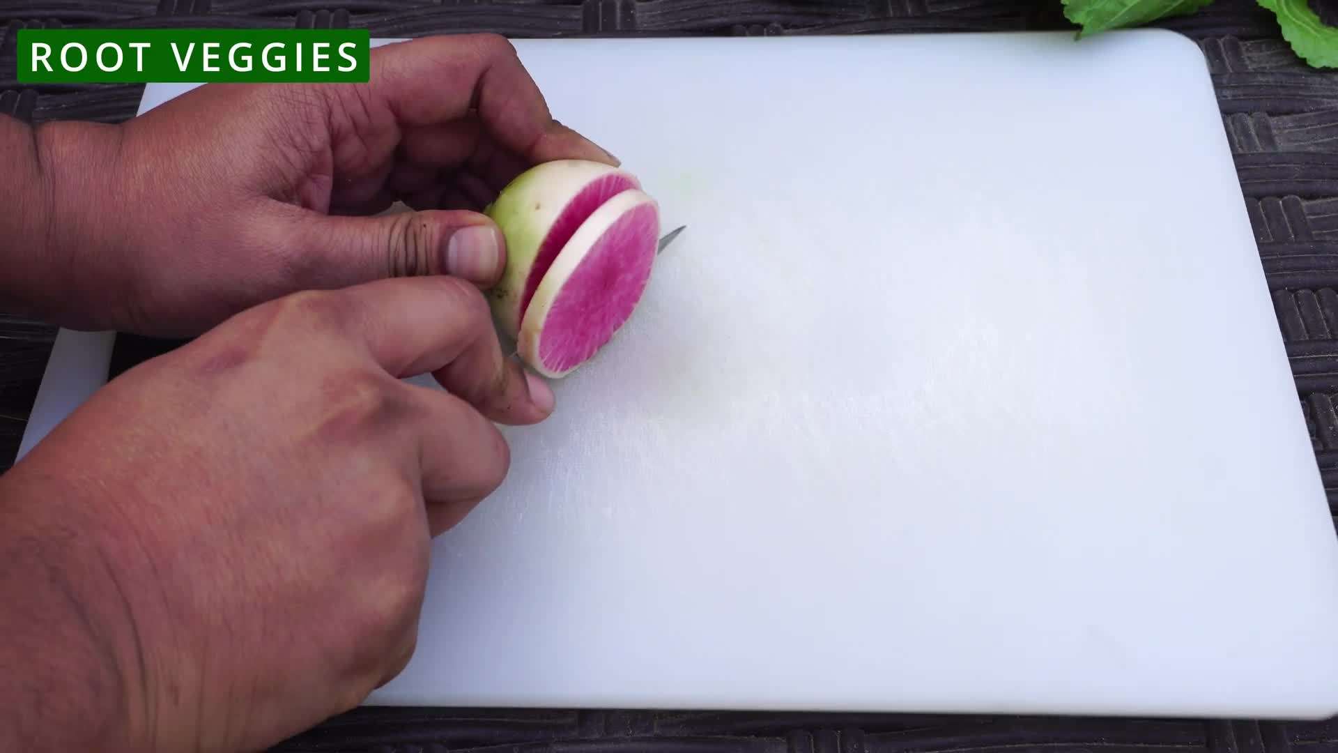 Variety of fall vegetables