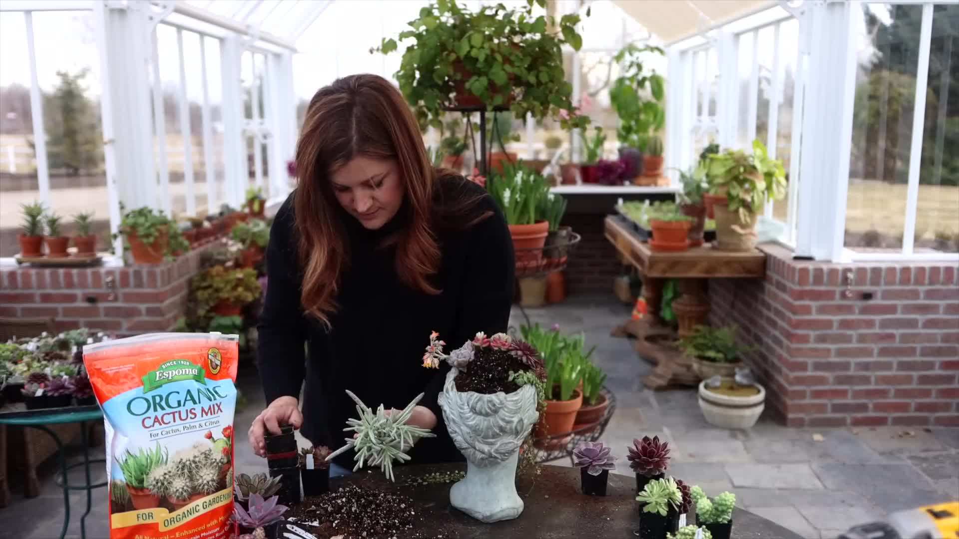 Filling the head planter with well-draining cactus mix