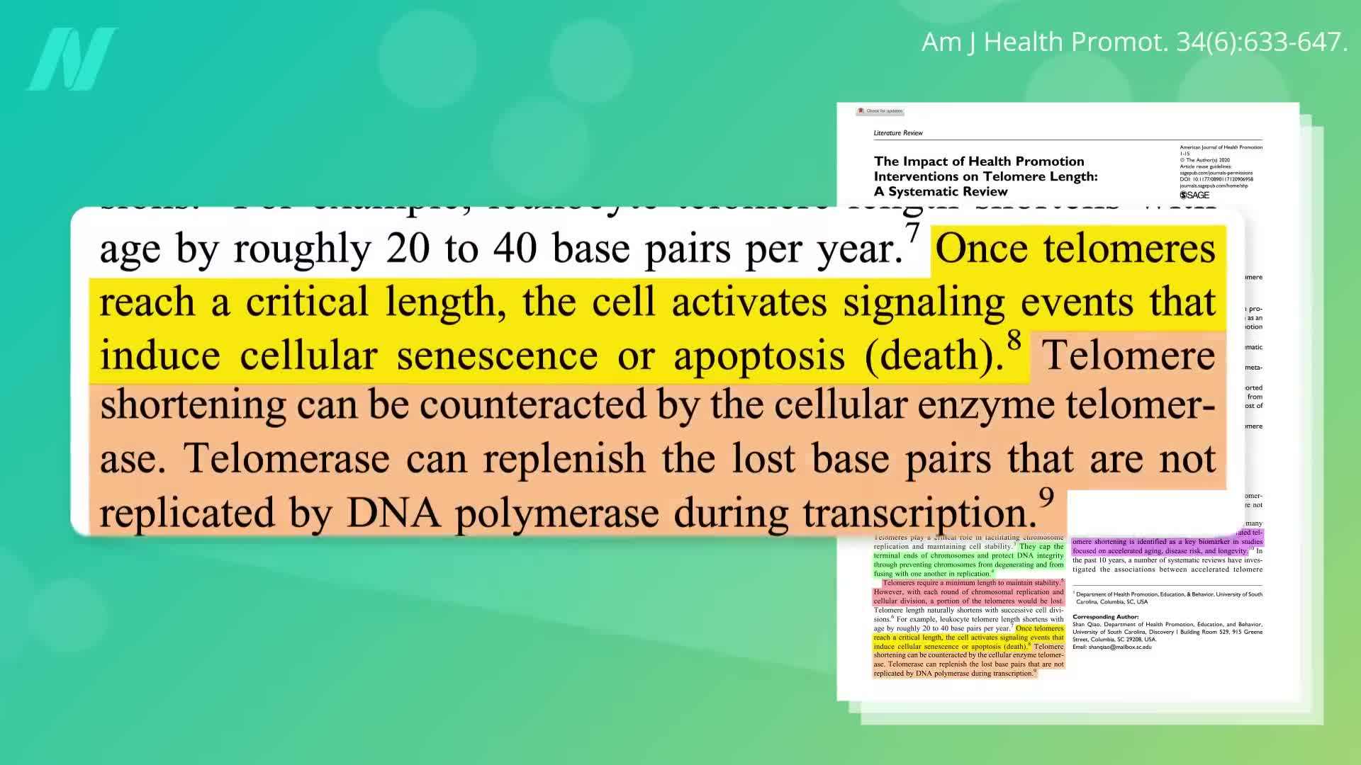 Comparison of telomere length in individuals following plant-based diets vs. standard Western diet