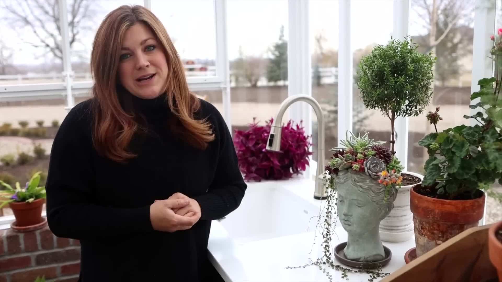 Watering the succulents after planting