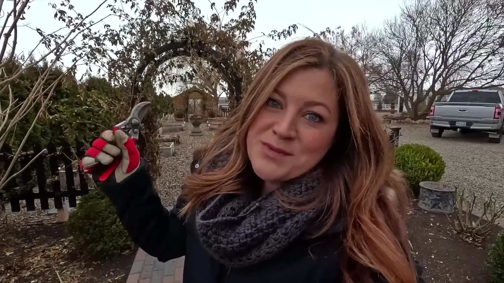 Felco 2 Pruners are essential tools for pruning climbing roses