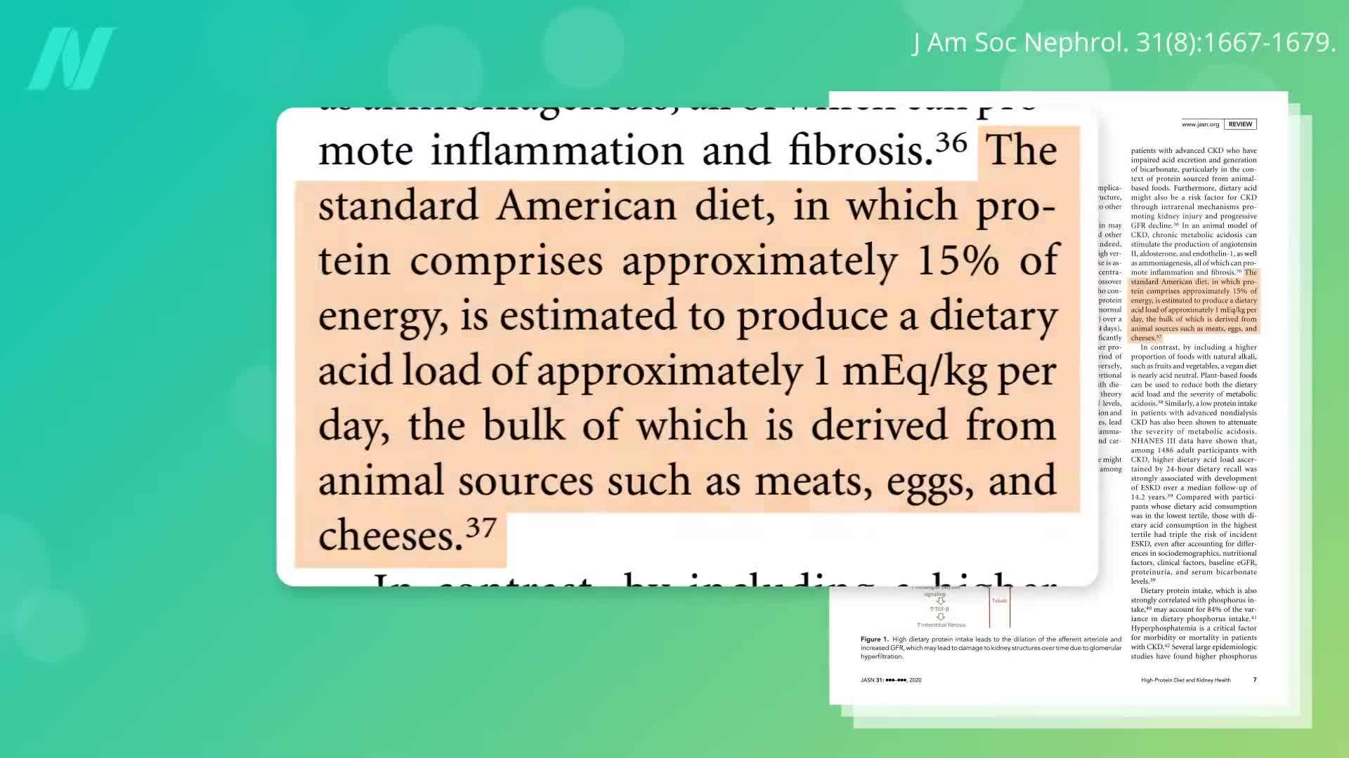 Comparison of Animal Protein and Plant Protein