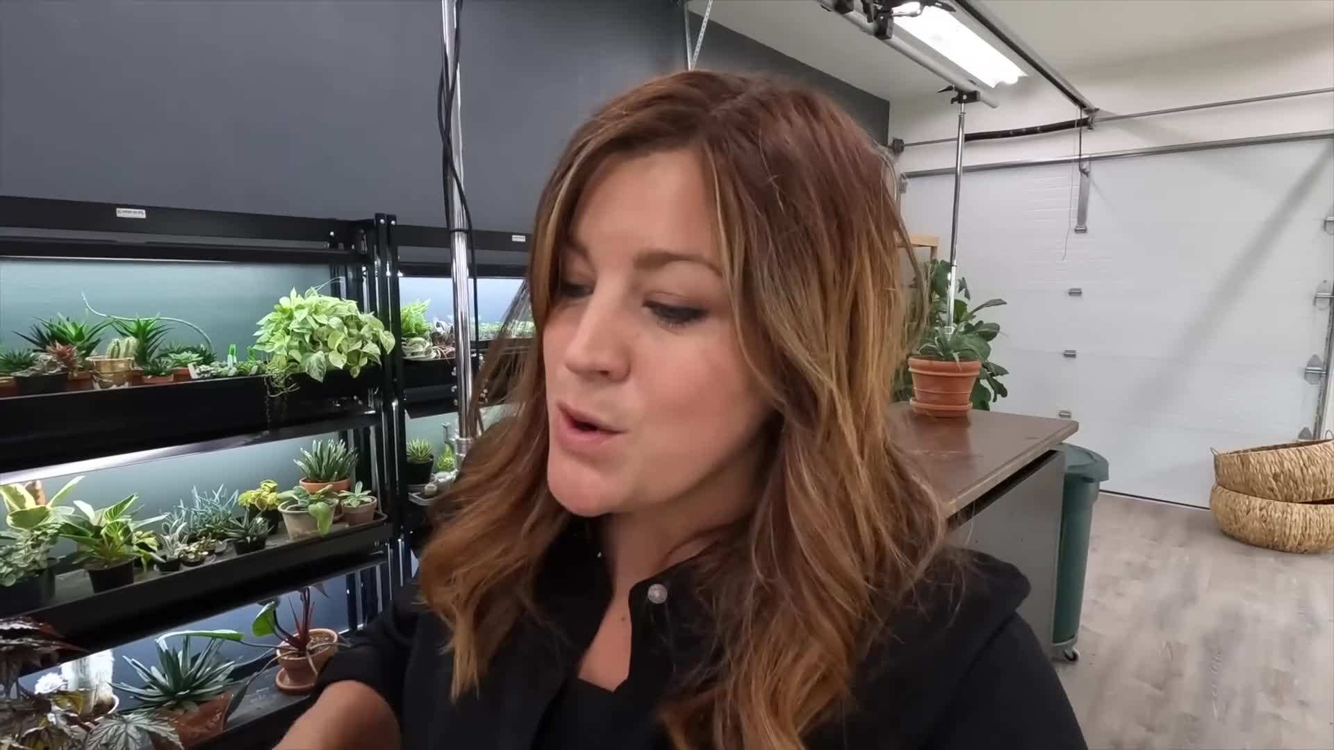 Gather all the necessary materials for making statice wreaths