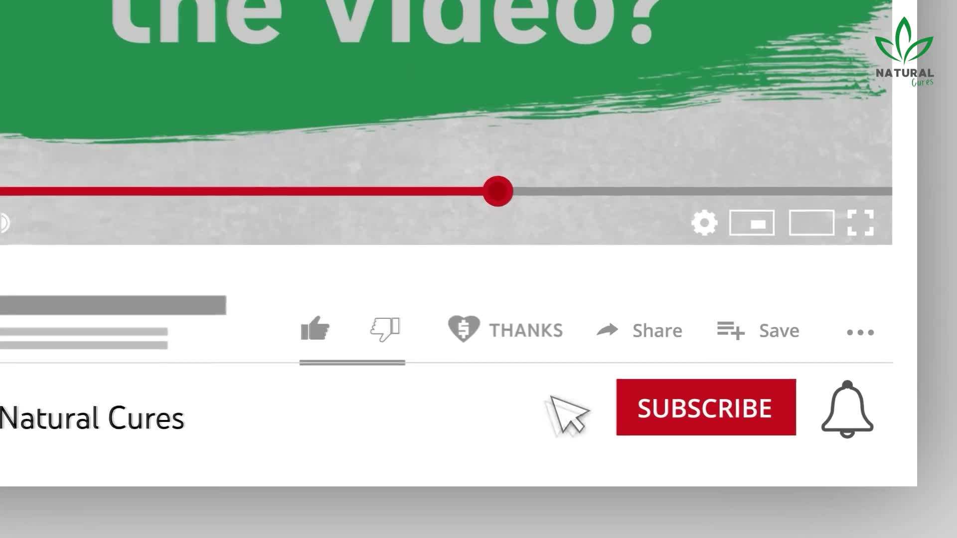 Illustration of a urinary tract