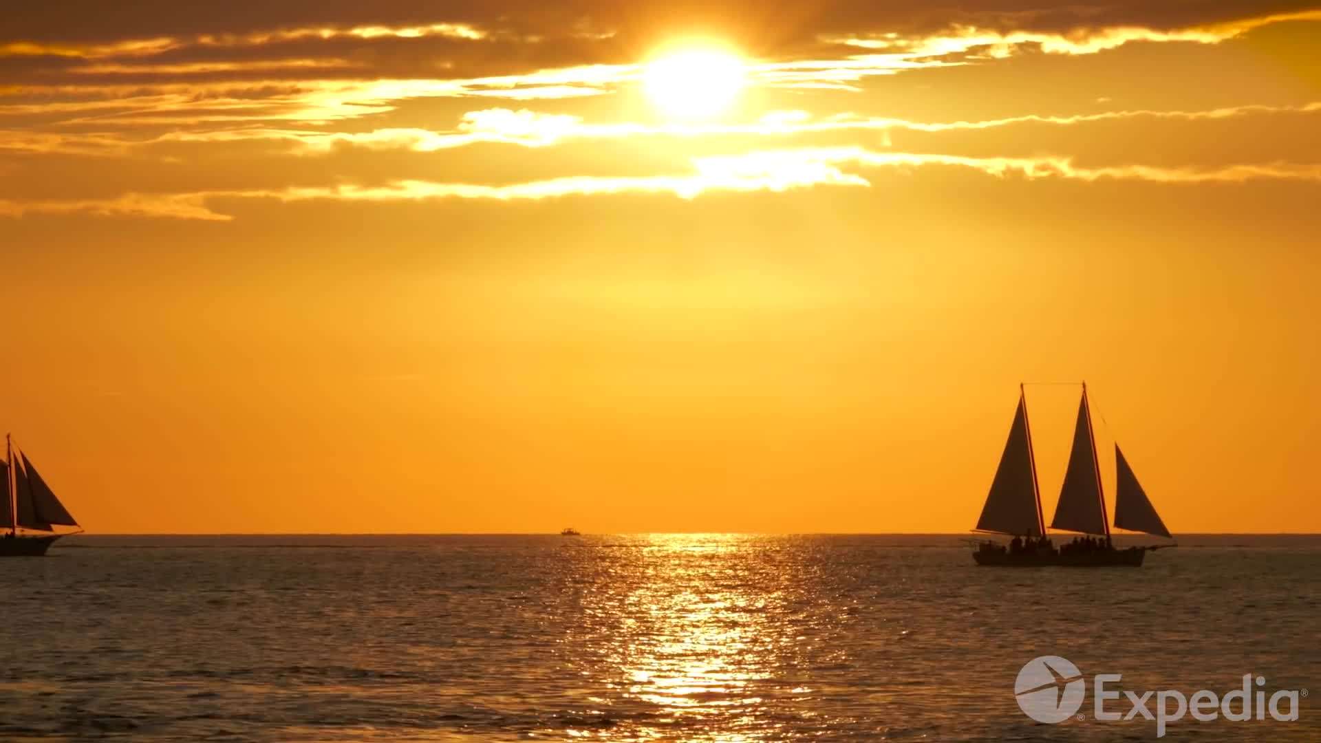 Swimming with dolphins at Theater of the Sea