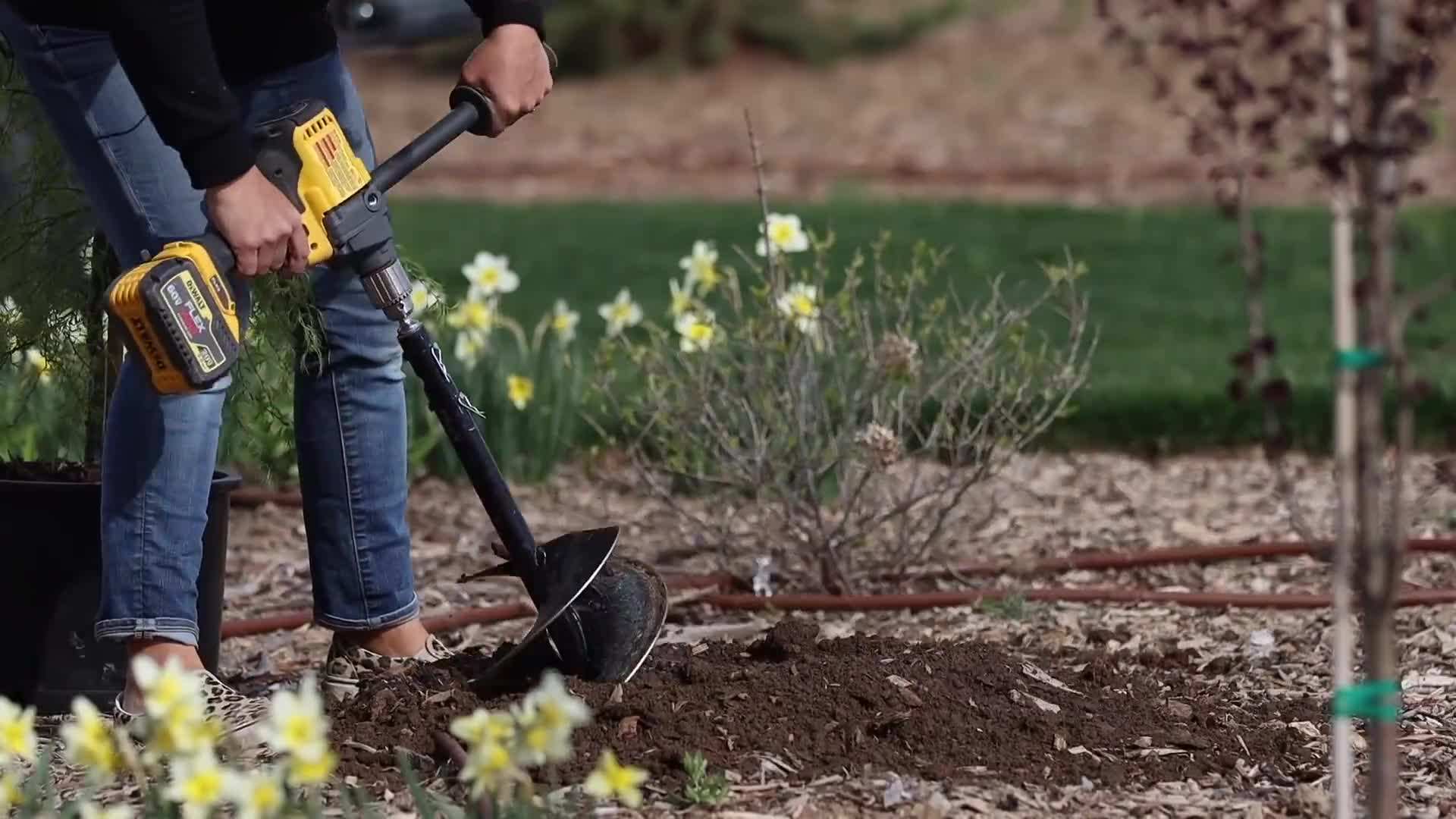 Proper Planting Techniques