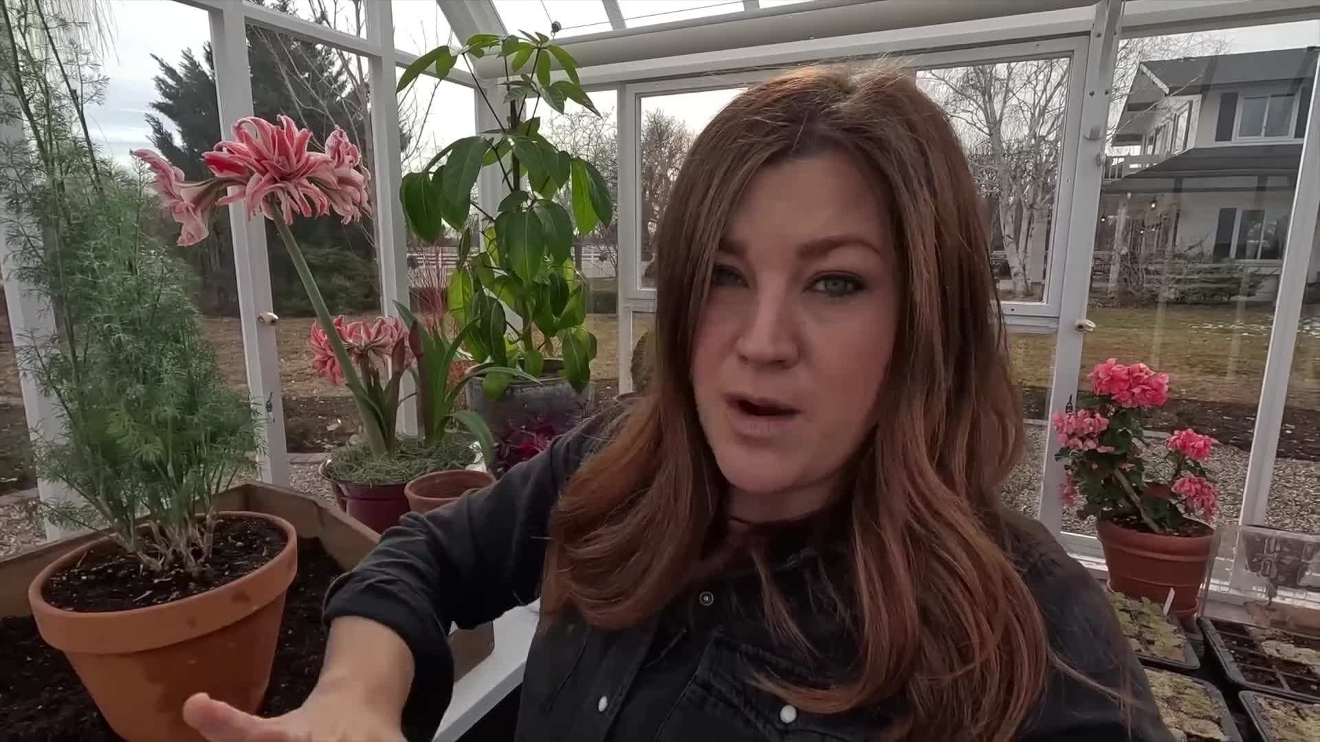 Applying wood stain to the DIY wood potting tray