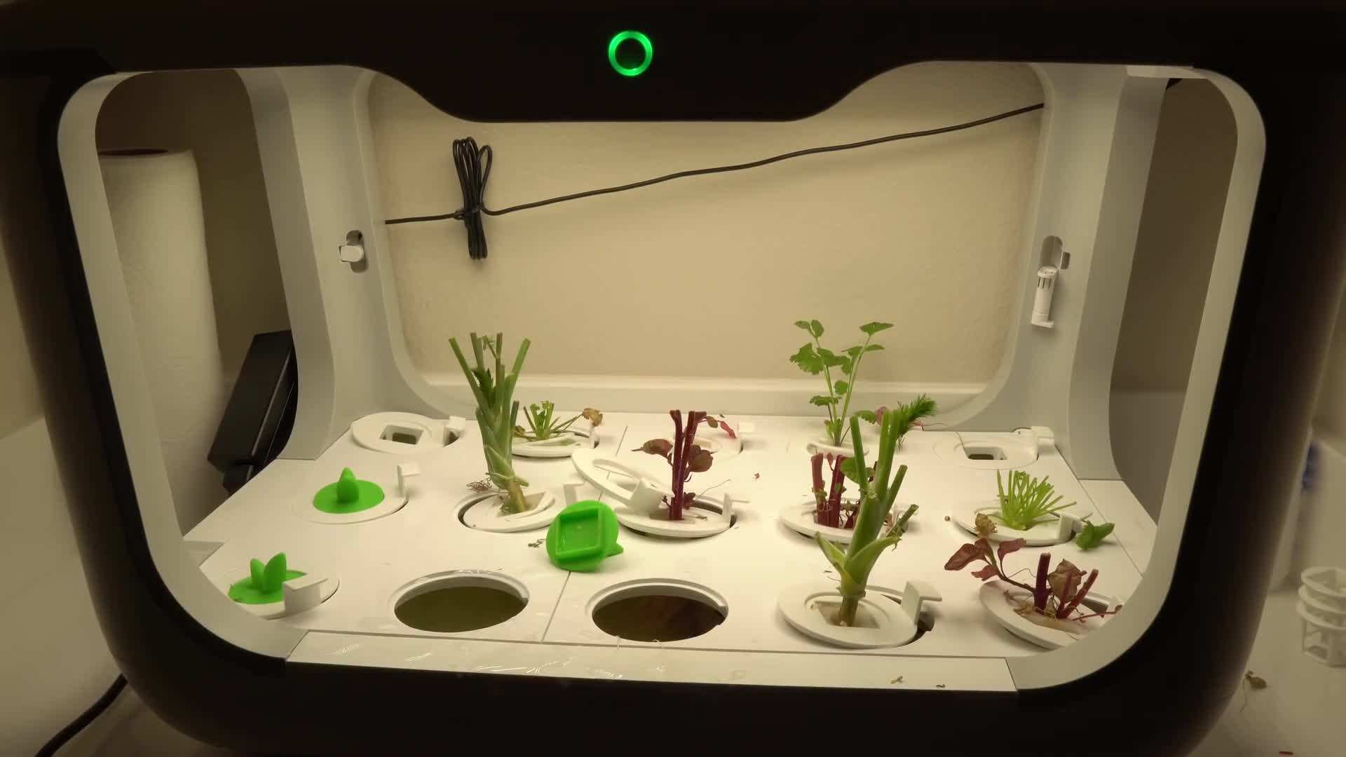 Crop rotation plan for organic gardening