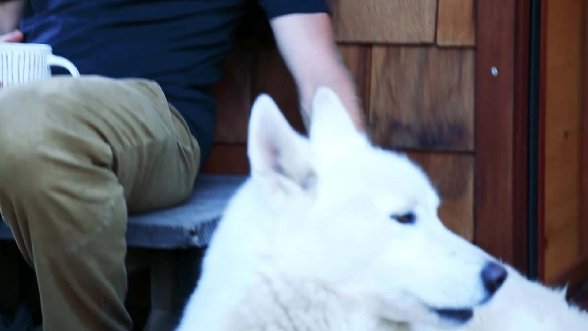 Ryan's tiny house surrounded by the California wildfires