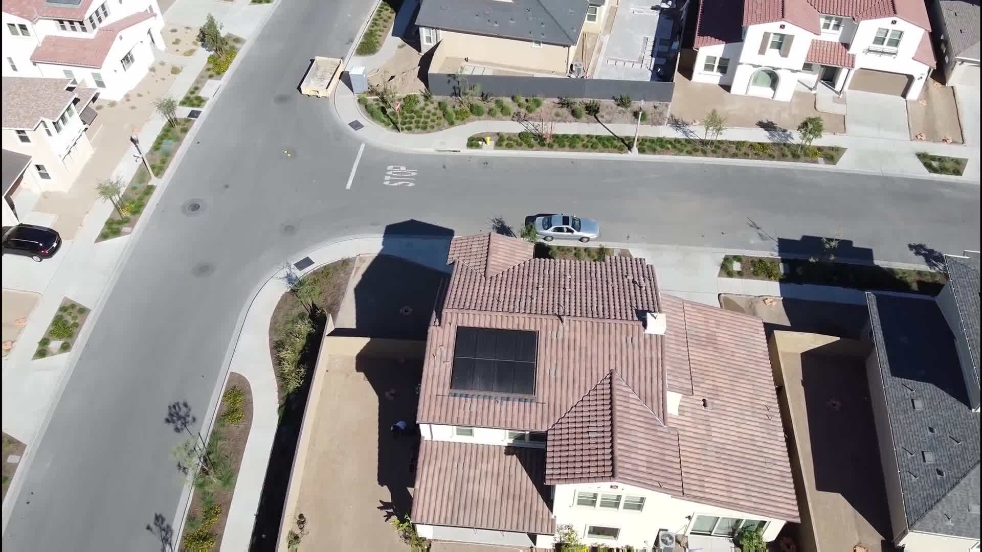 Proper Spacing Between Plants