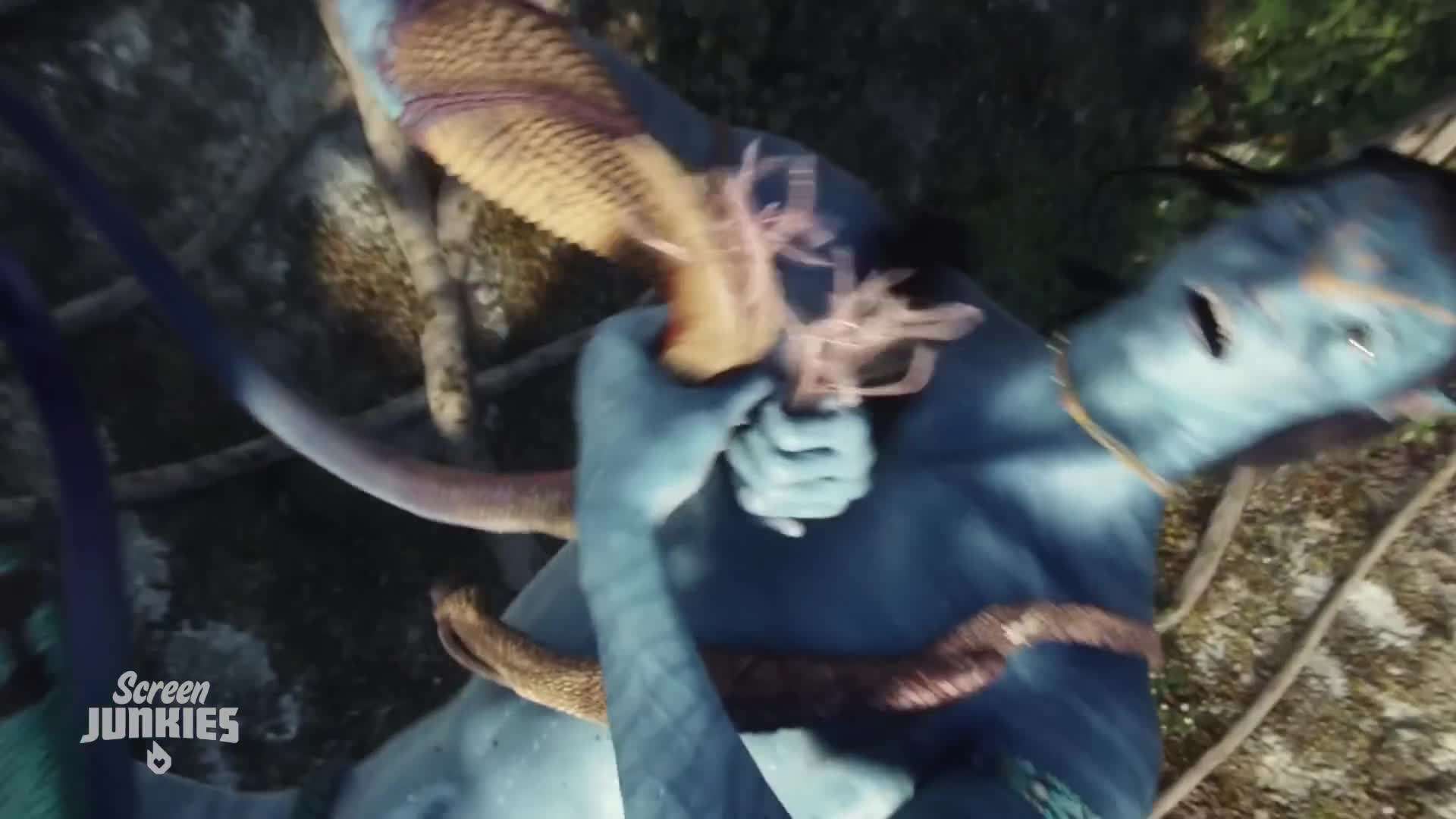 The clash between humans and Na'vi