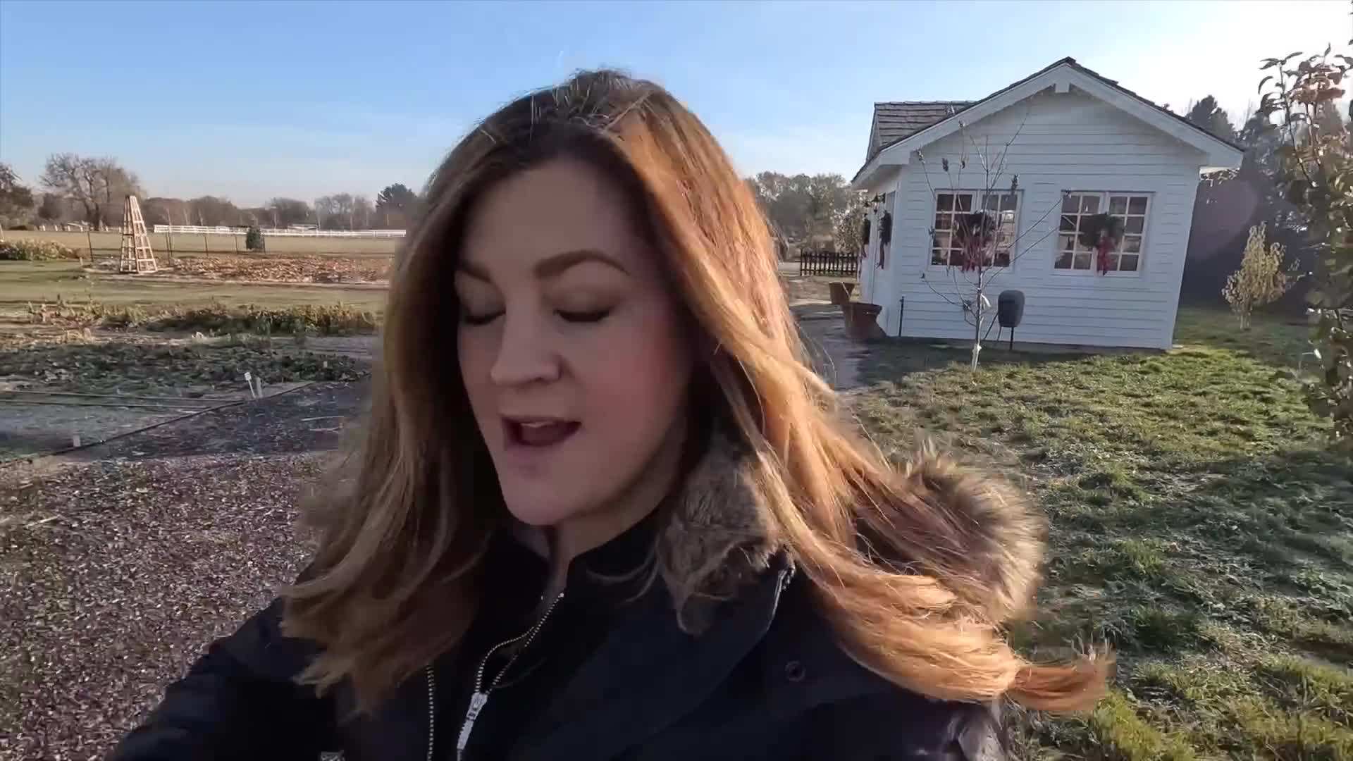 Inserting cloves into the orange