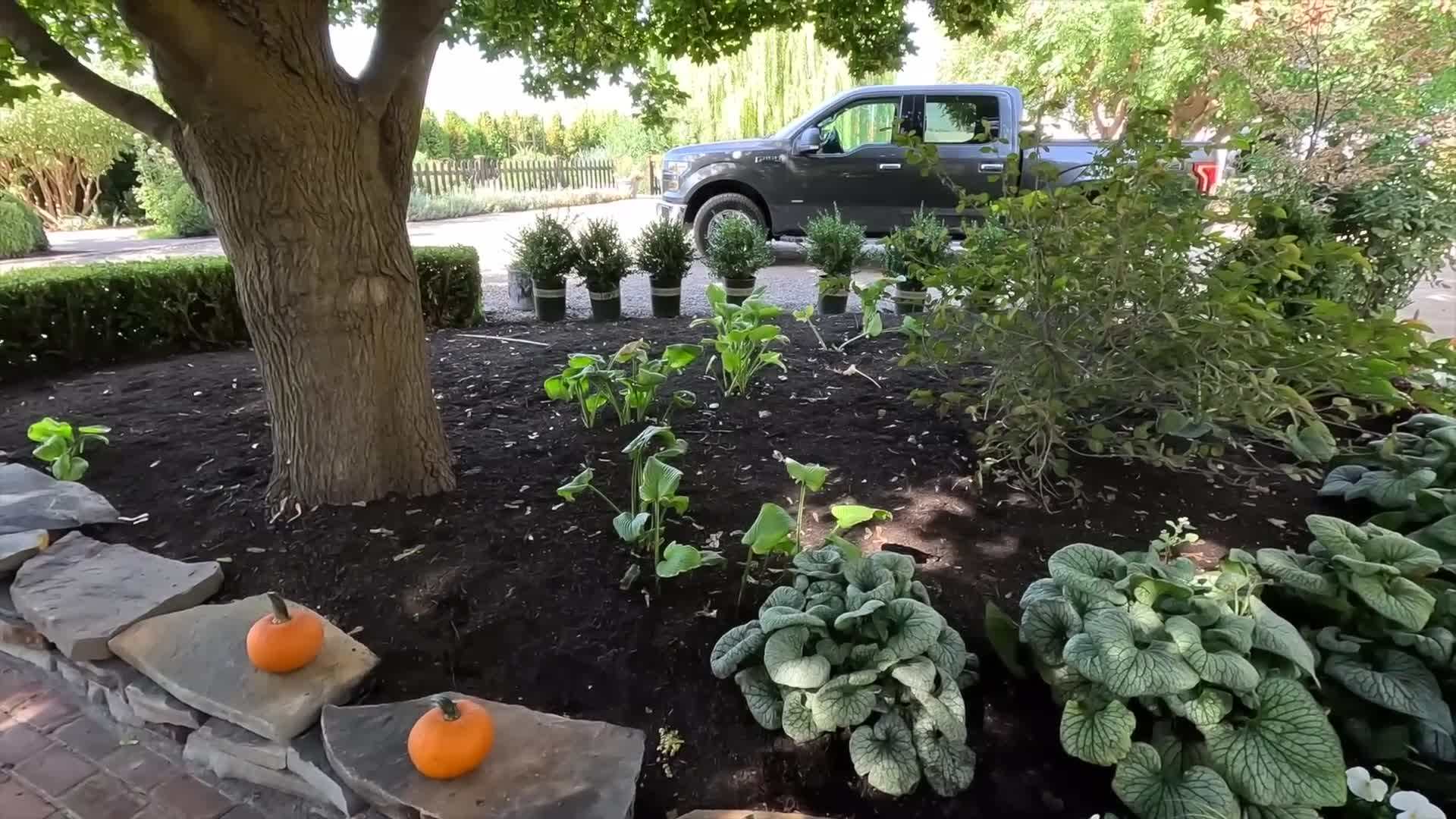 Applying granular fertilizer to a fall container