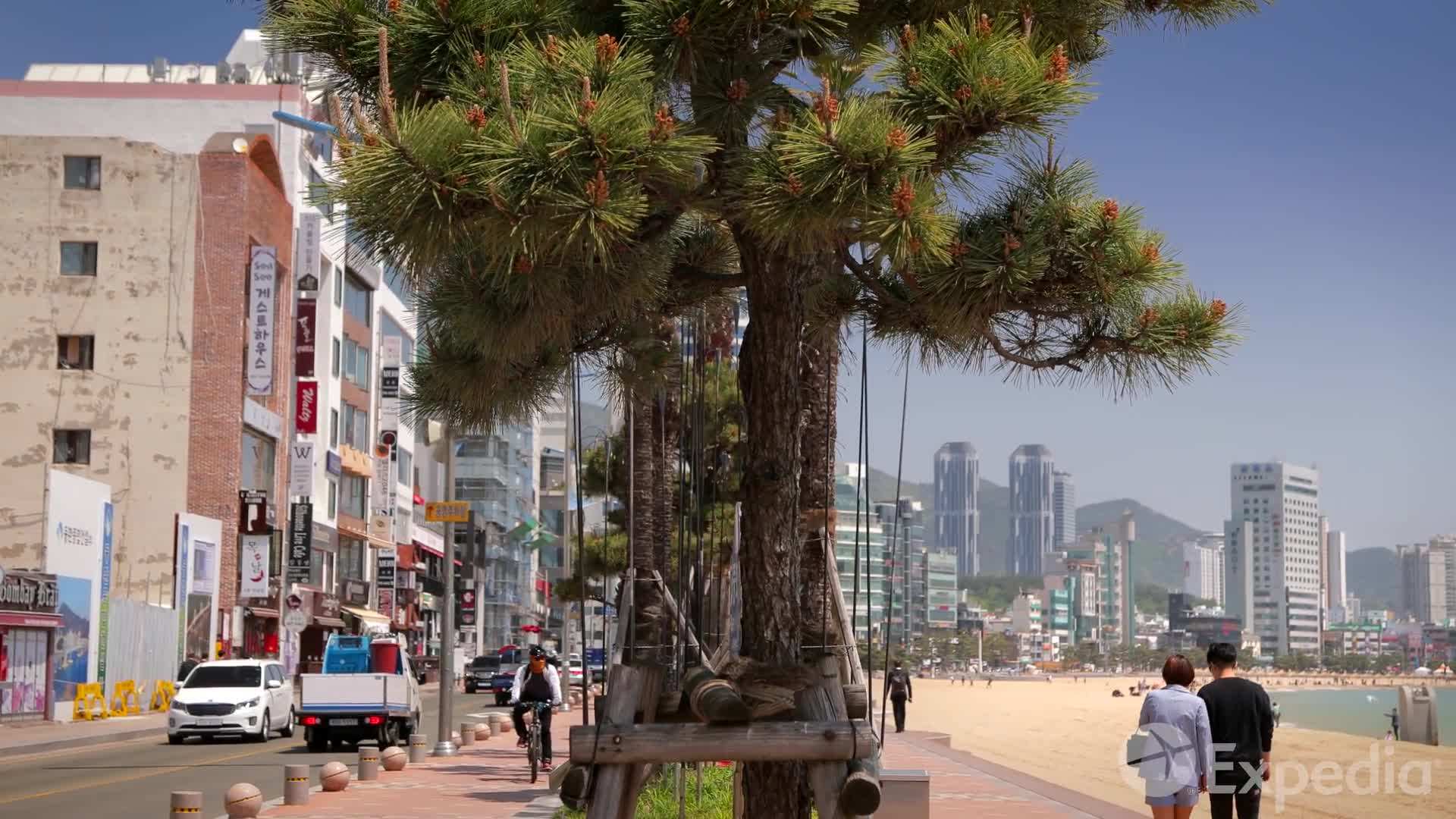 Haeundae Beach - A Paradise in Busan