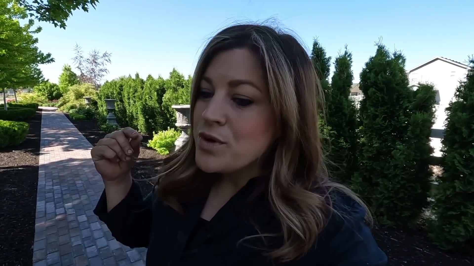 Selection of colorful marigold, petunia, and geranium plants for a full sun container arrangement