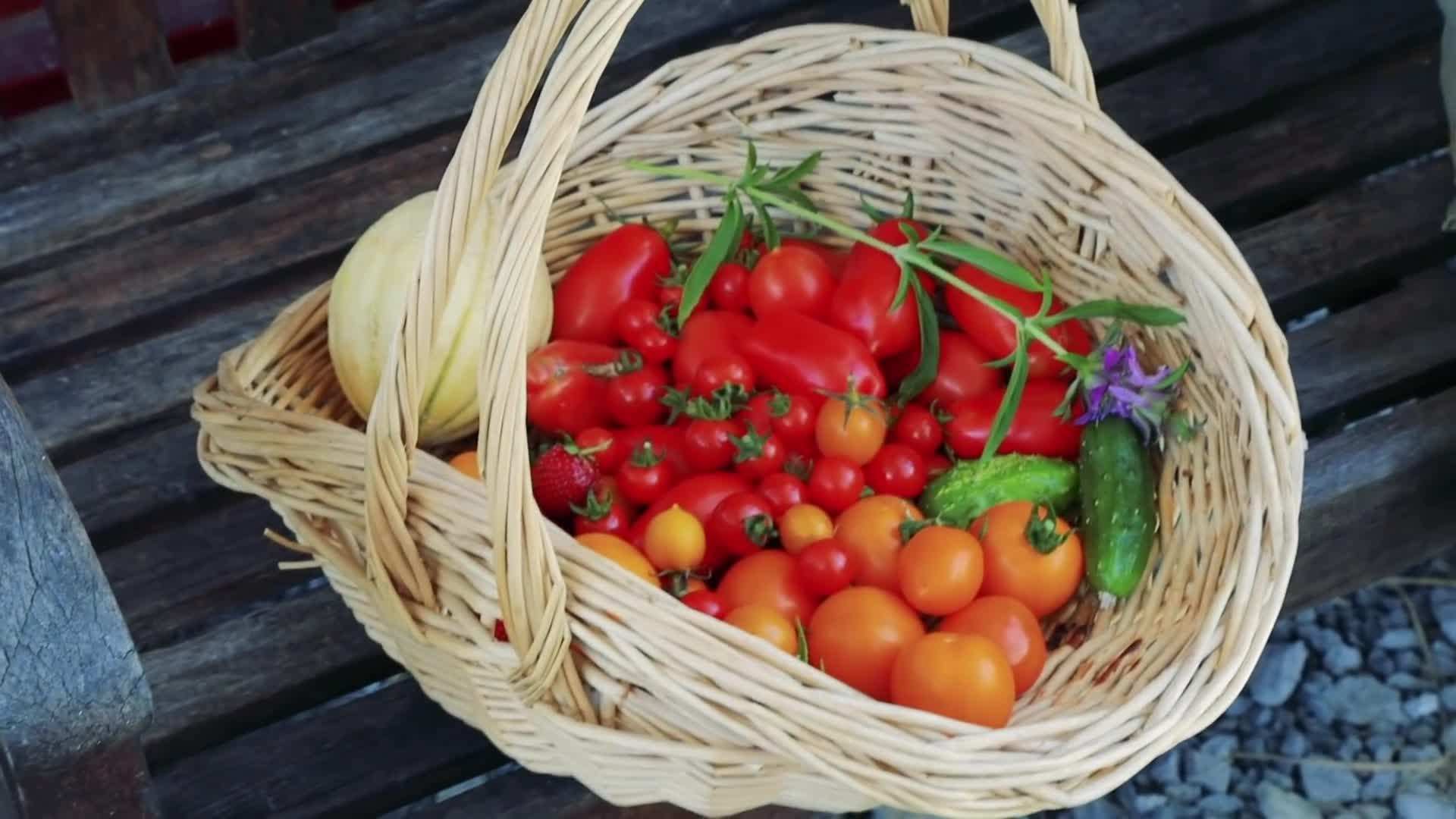Exterior view of the off-the-grid container home