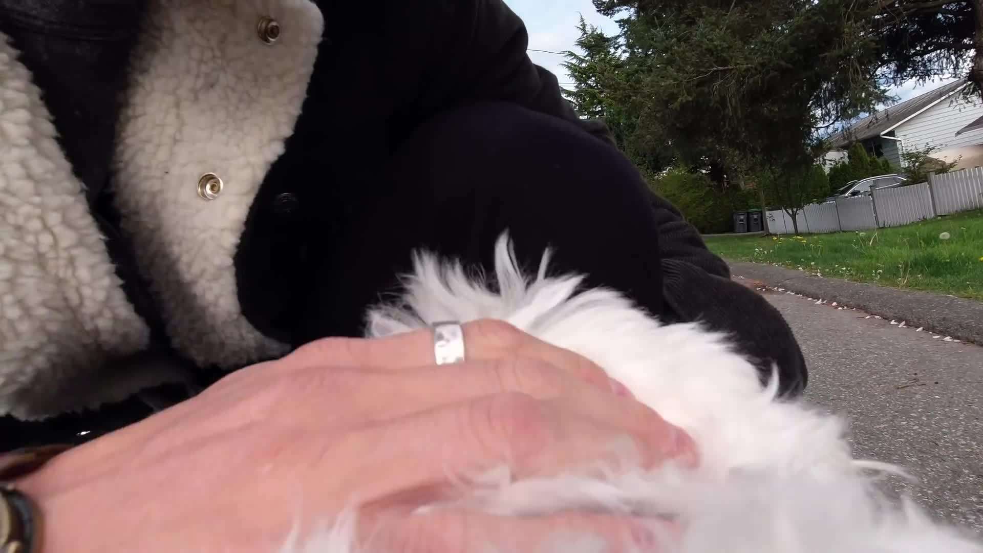 Exploring Local Cuisine: Cooking a Traditional Thai Dish