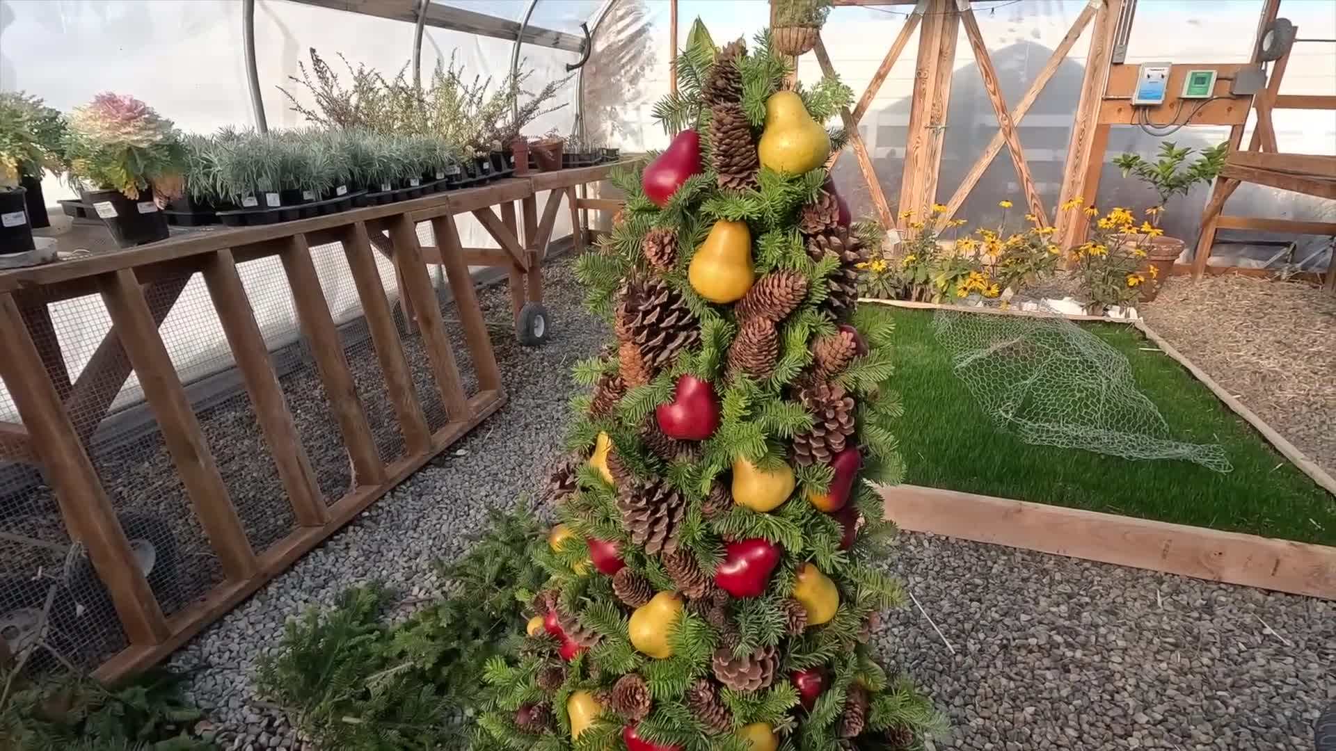 Securing the Plant to the Wire Frame