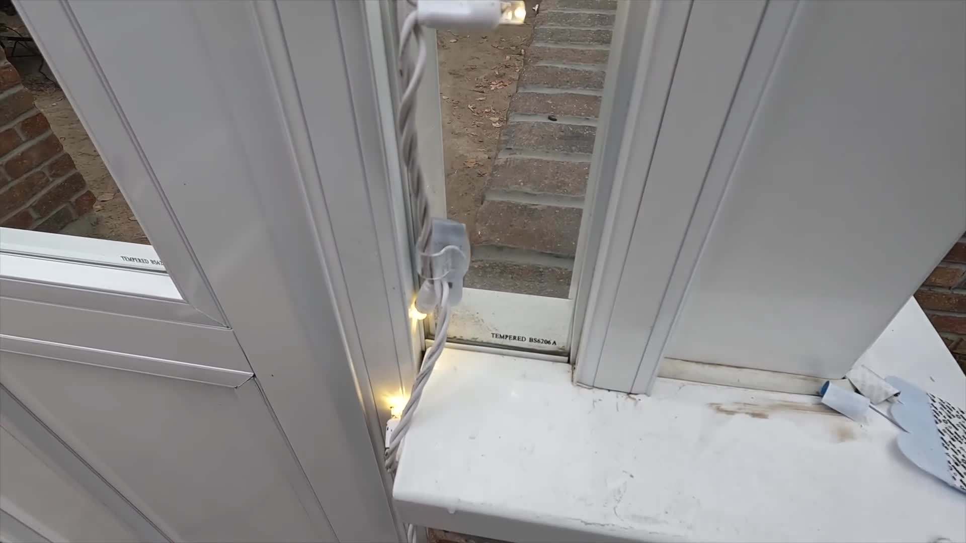 Exploring the Twinkling Lights in the Garden