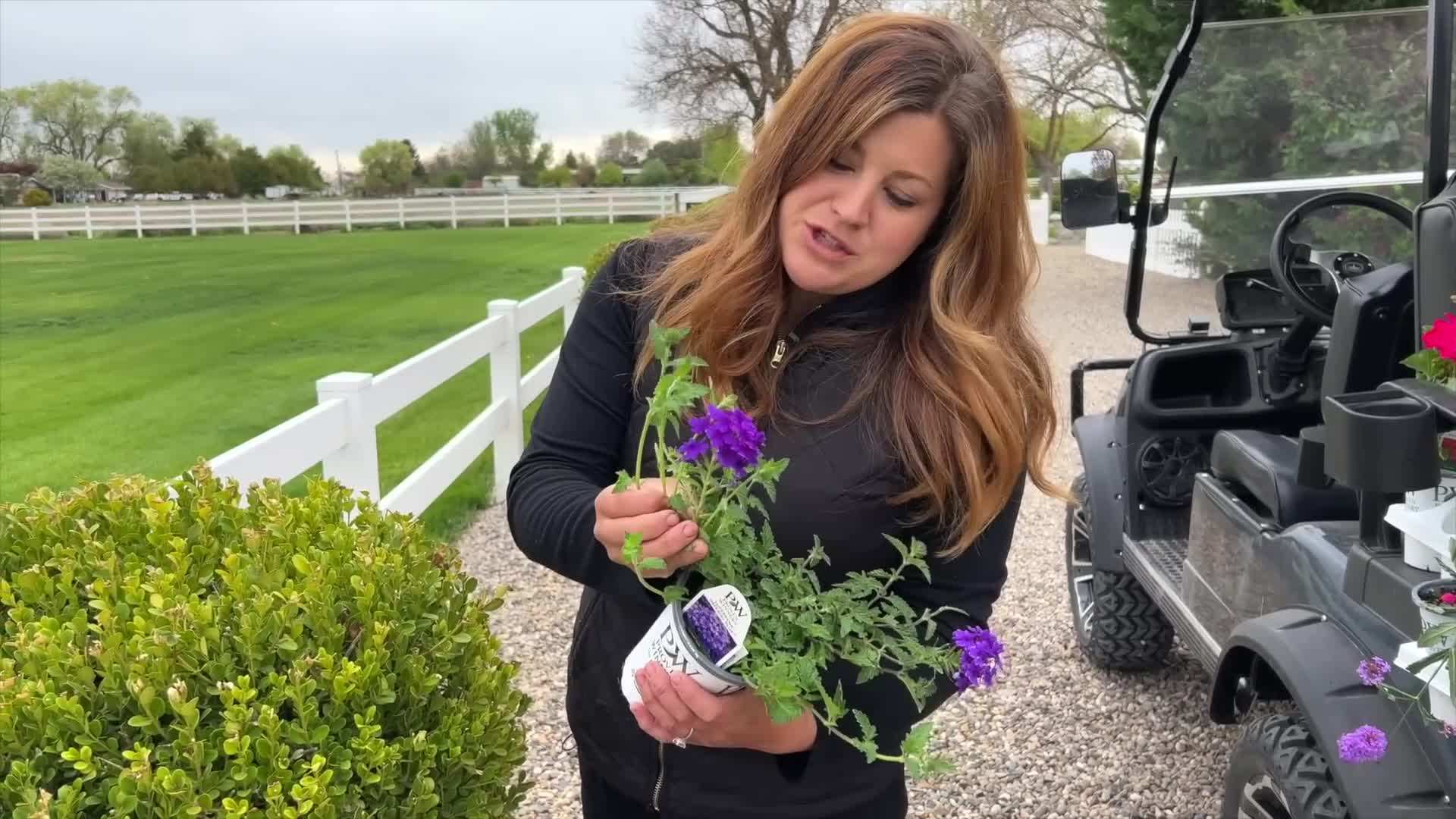 Thriller, filler, and spiller approach