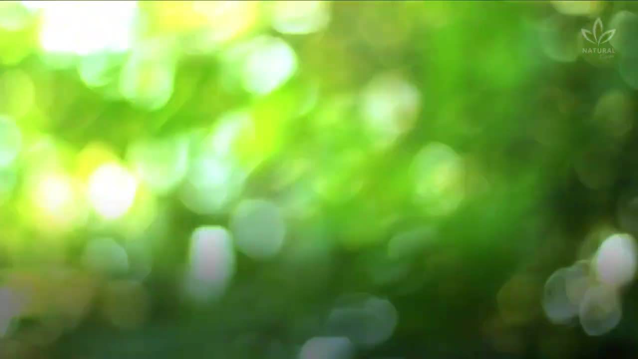 Homemade Garlic and Onion Powder