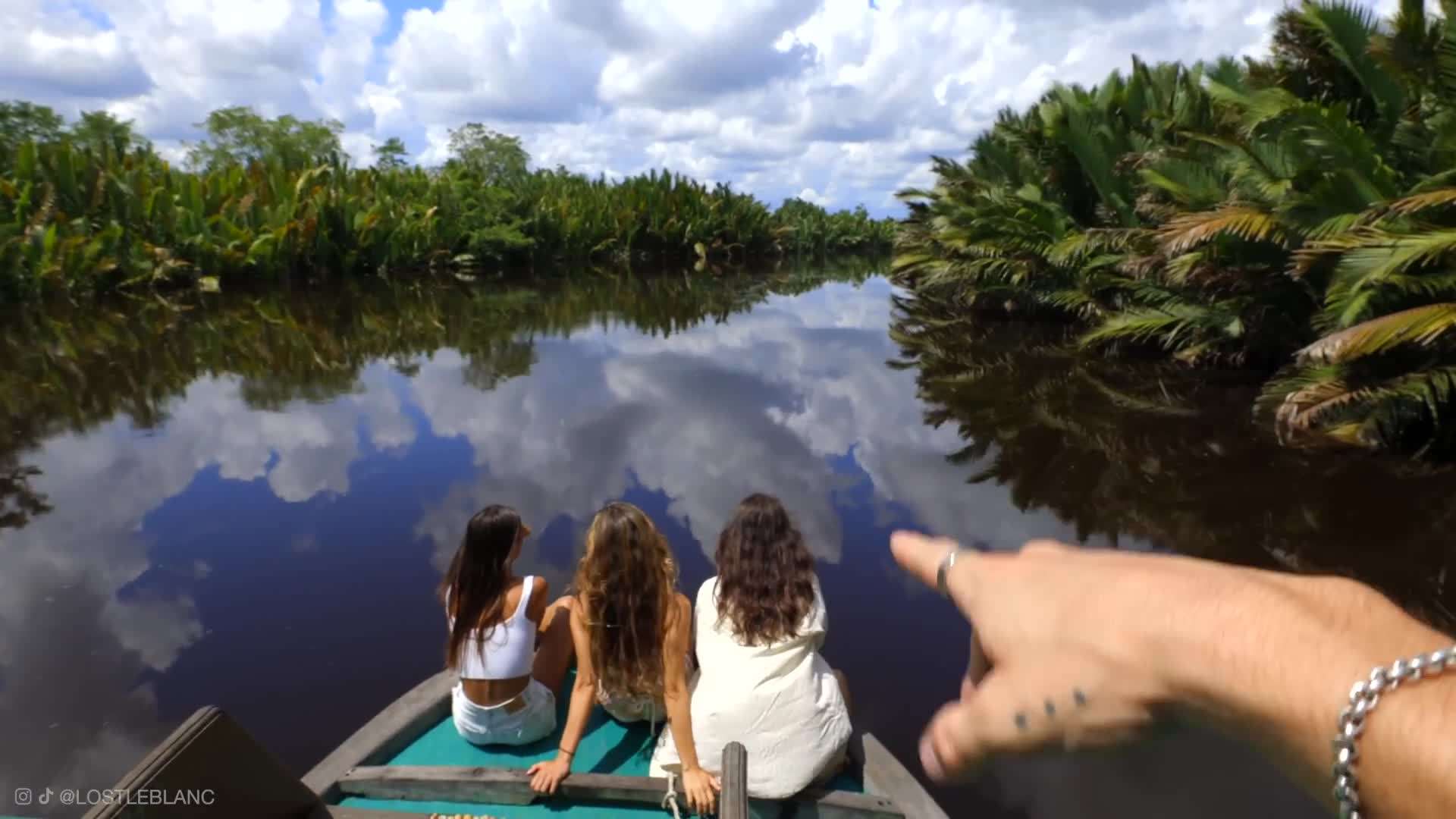 Glimpse of the majestic orangutans