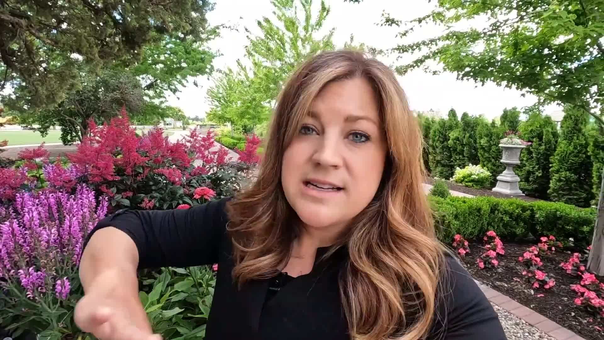 Choosing the Right Location for Your Pink Perennials