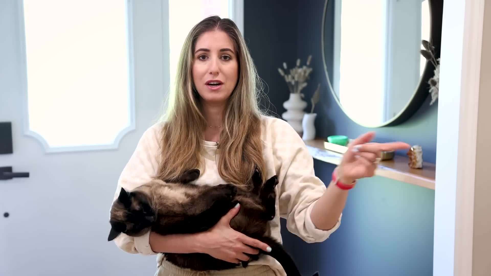 Image of an open window with fresh air coming in