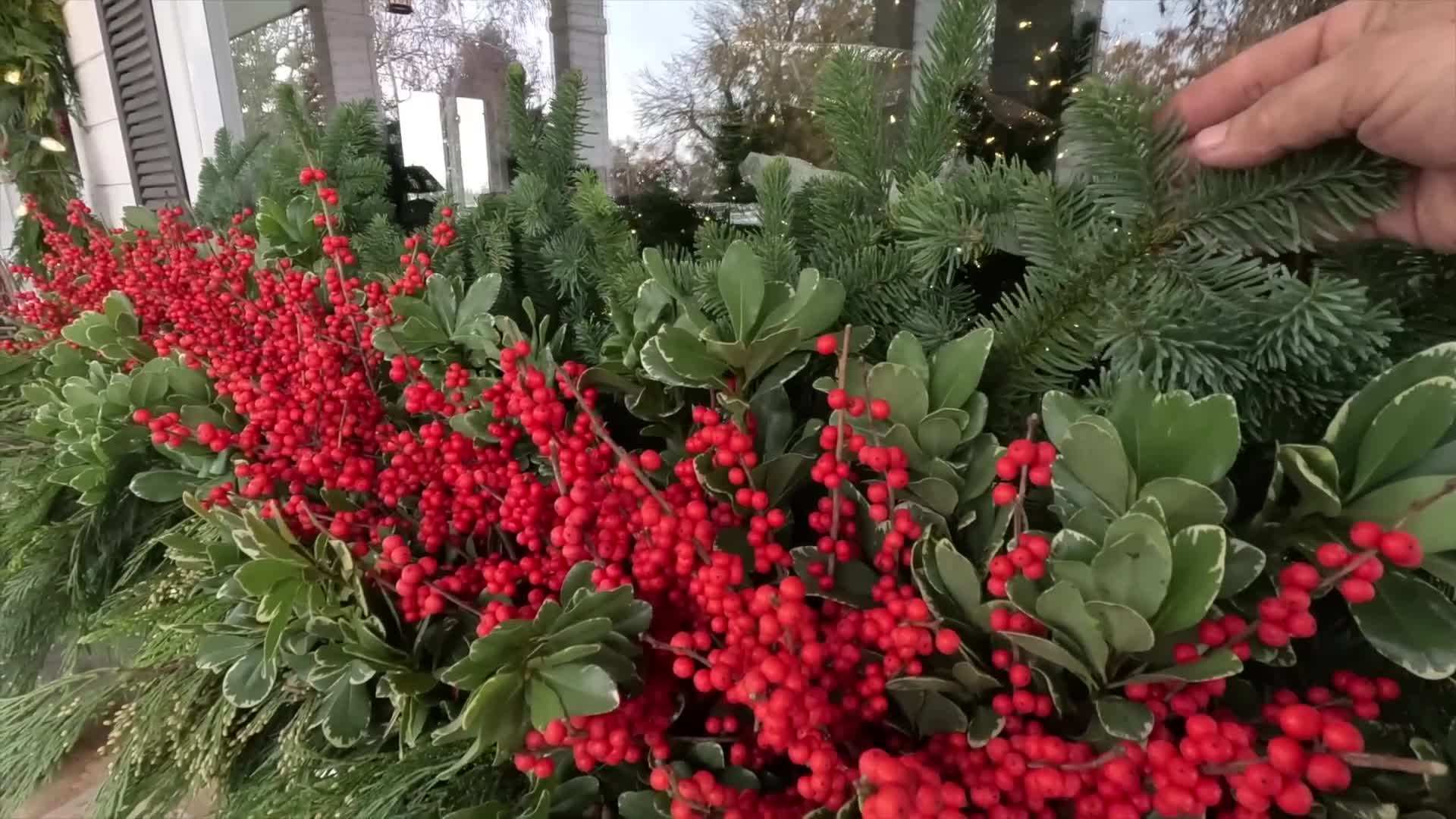 Fairy lights intertwined with the plants for a magical effect