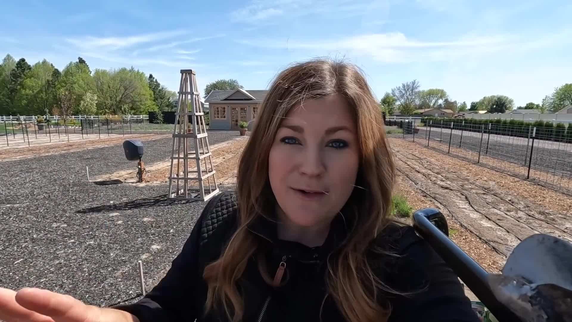 Varieties of Strawberry Plants