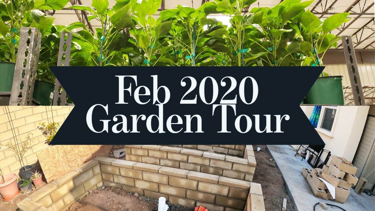 California Gardening Feb 2020 Garden Tour - Gardening Tips, Advice & More!