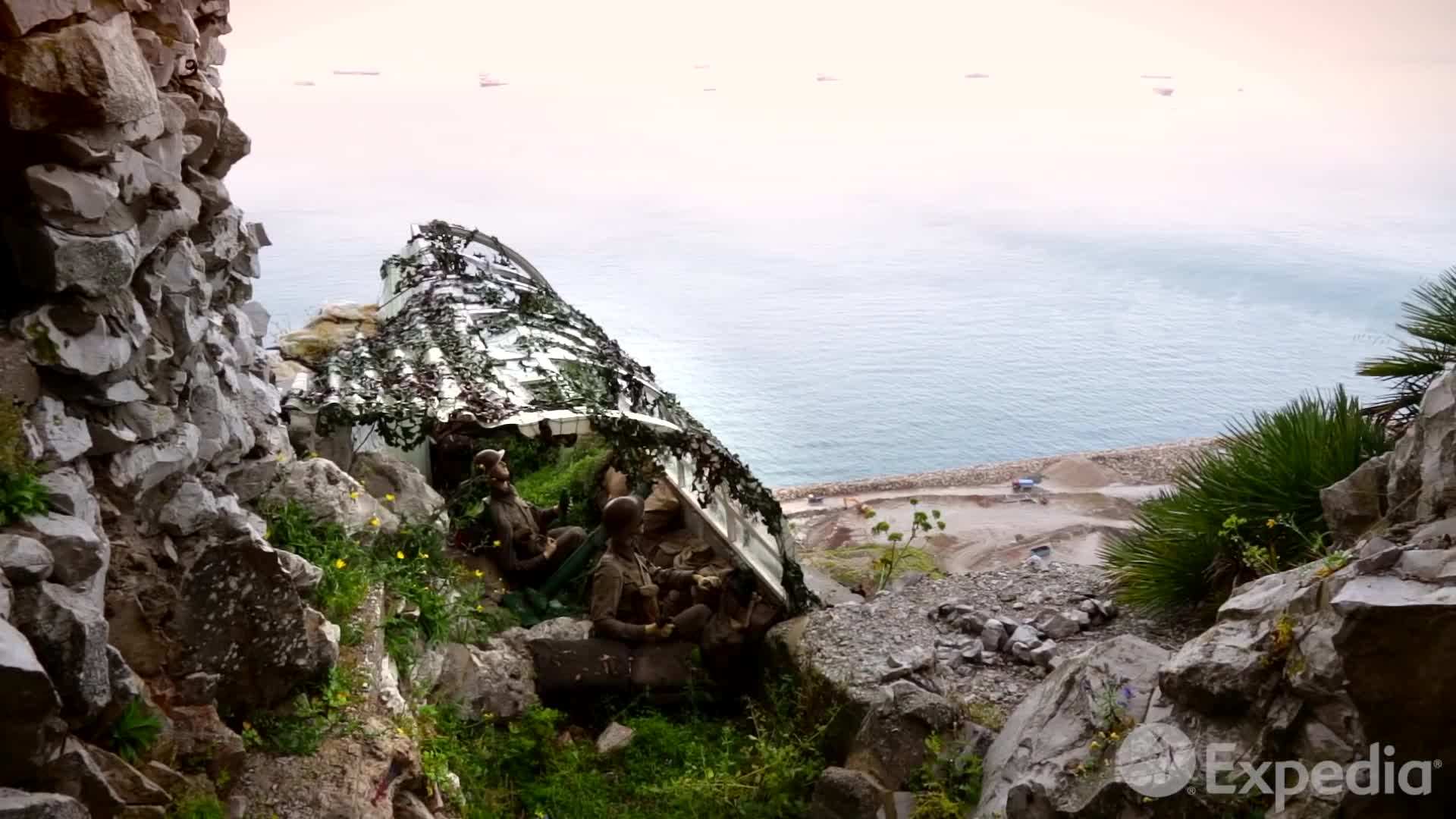 Barbary macaques at the Rock of Gibraltar