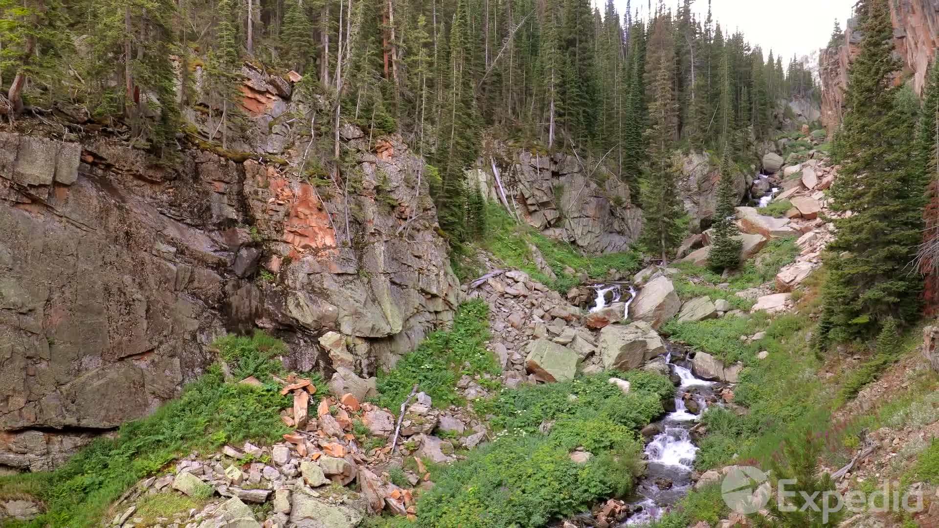 Camping gear set up in the park