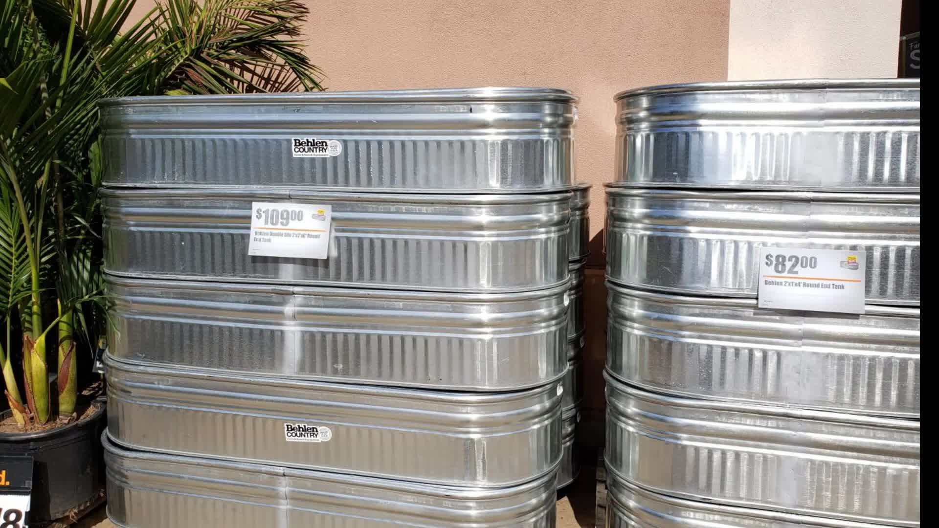 Proper Watering Techniques